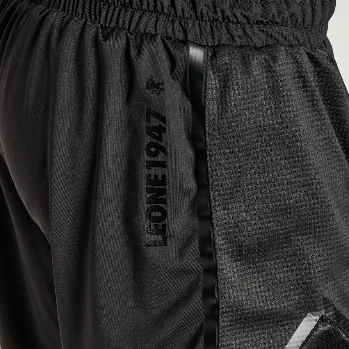 BLACK LION BOXING SHORTS