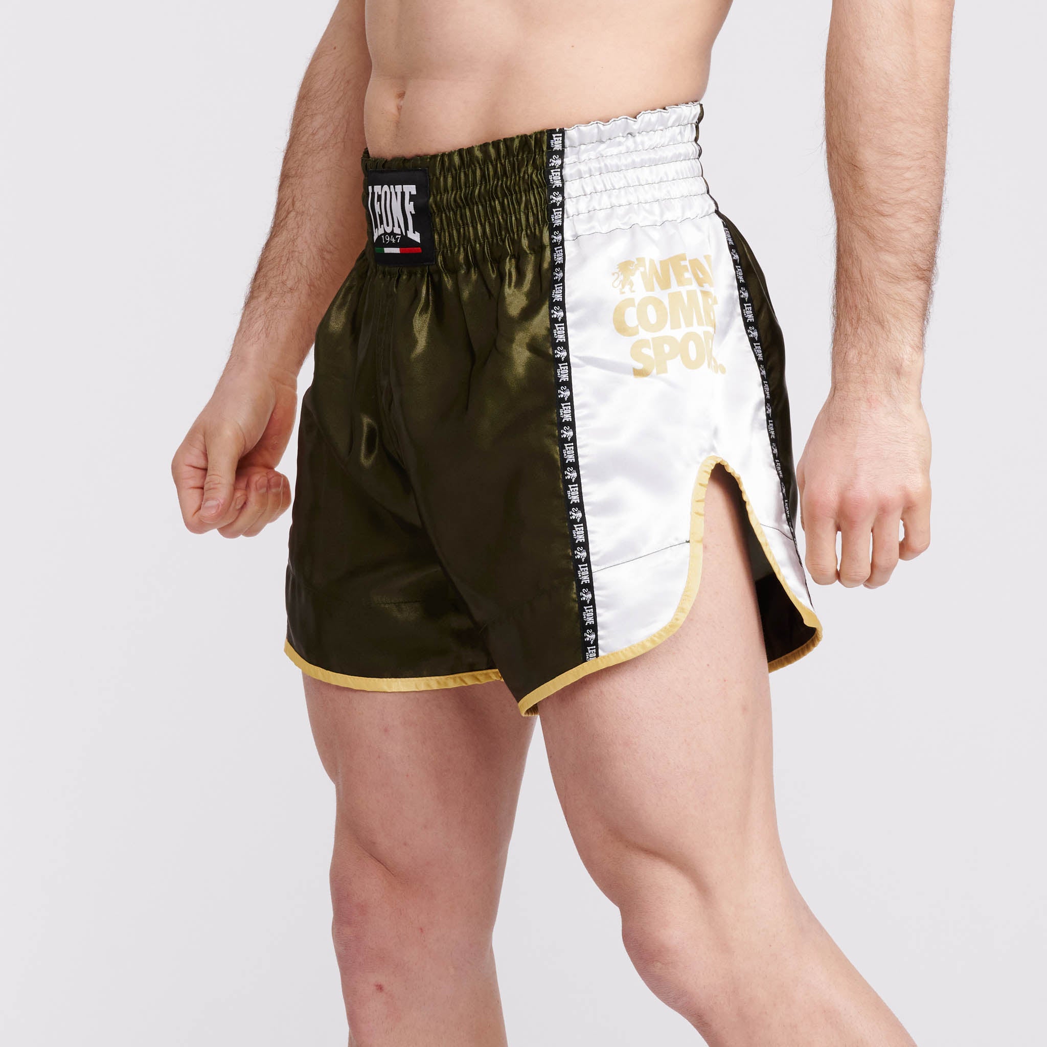 TRAINING THAI SHORTS