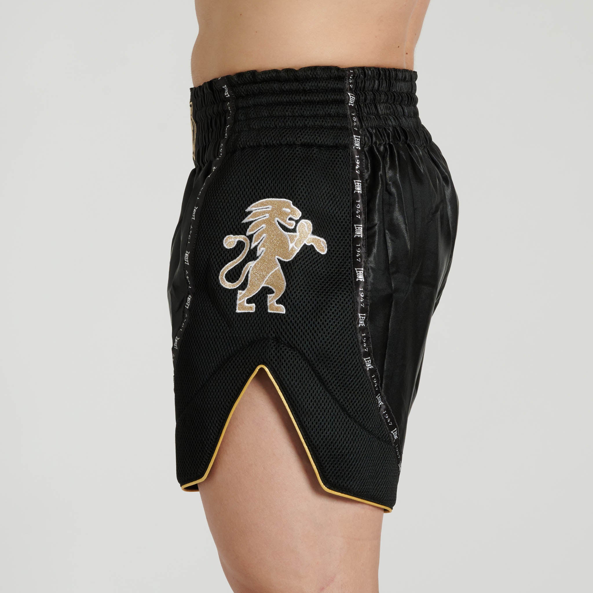 CLASSIC SHORTS