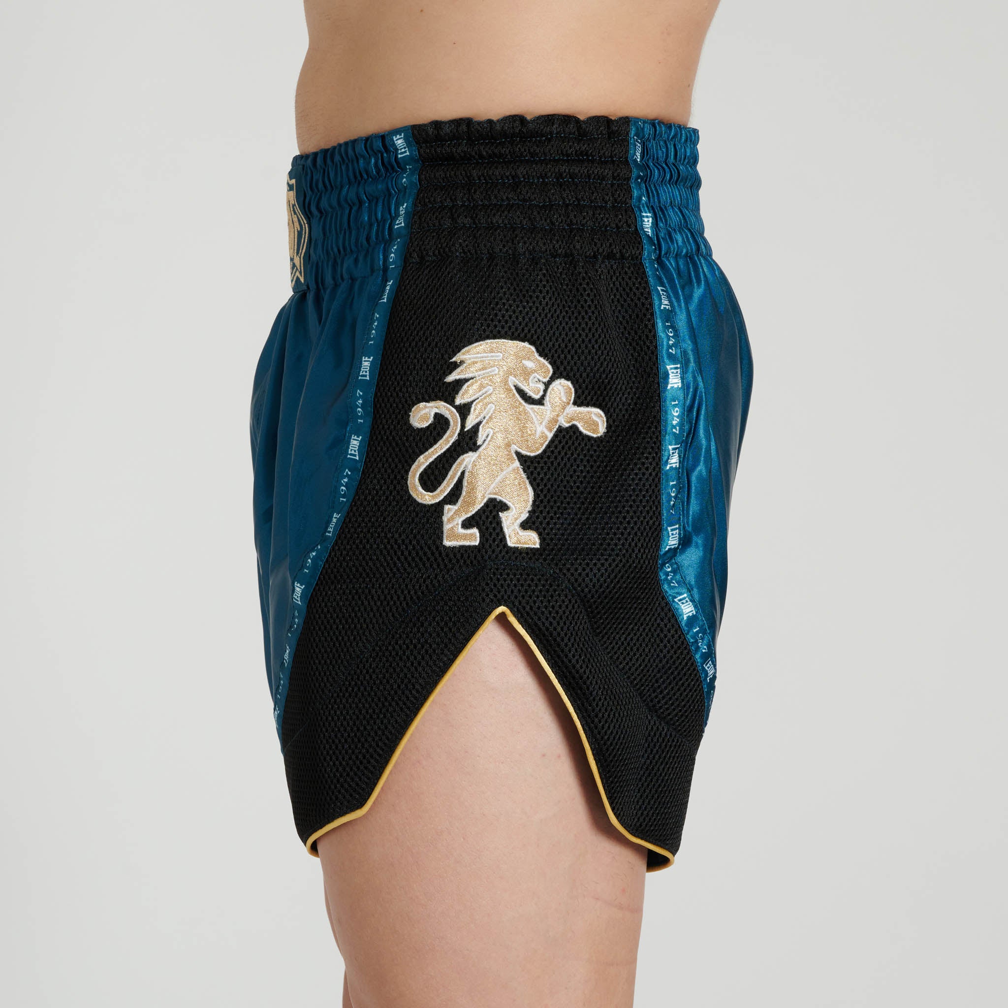 CLASSIC SHORTS