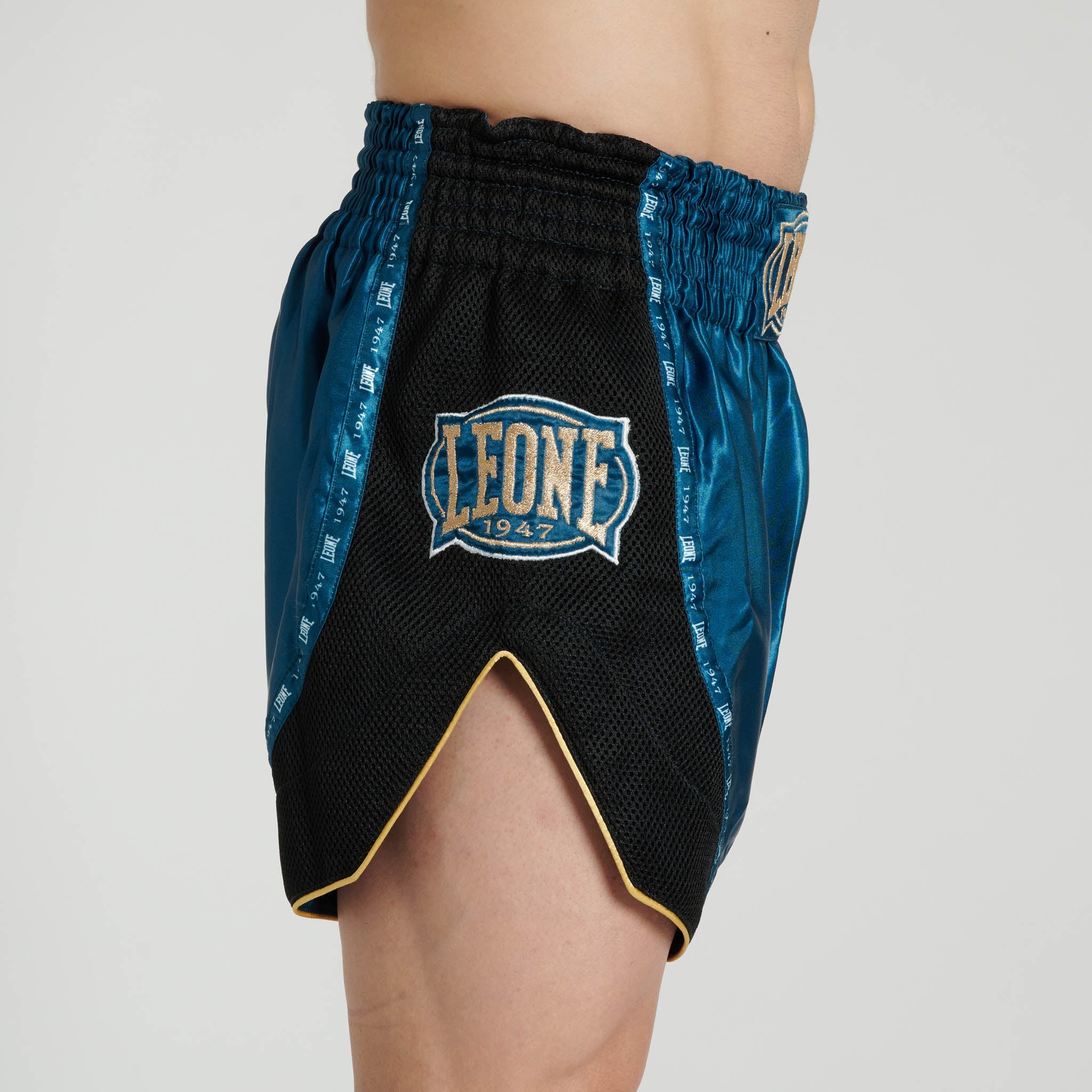 CLASSIC SHORTS