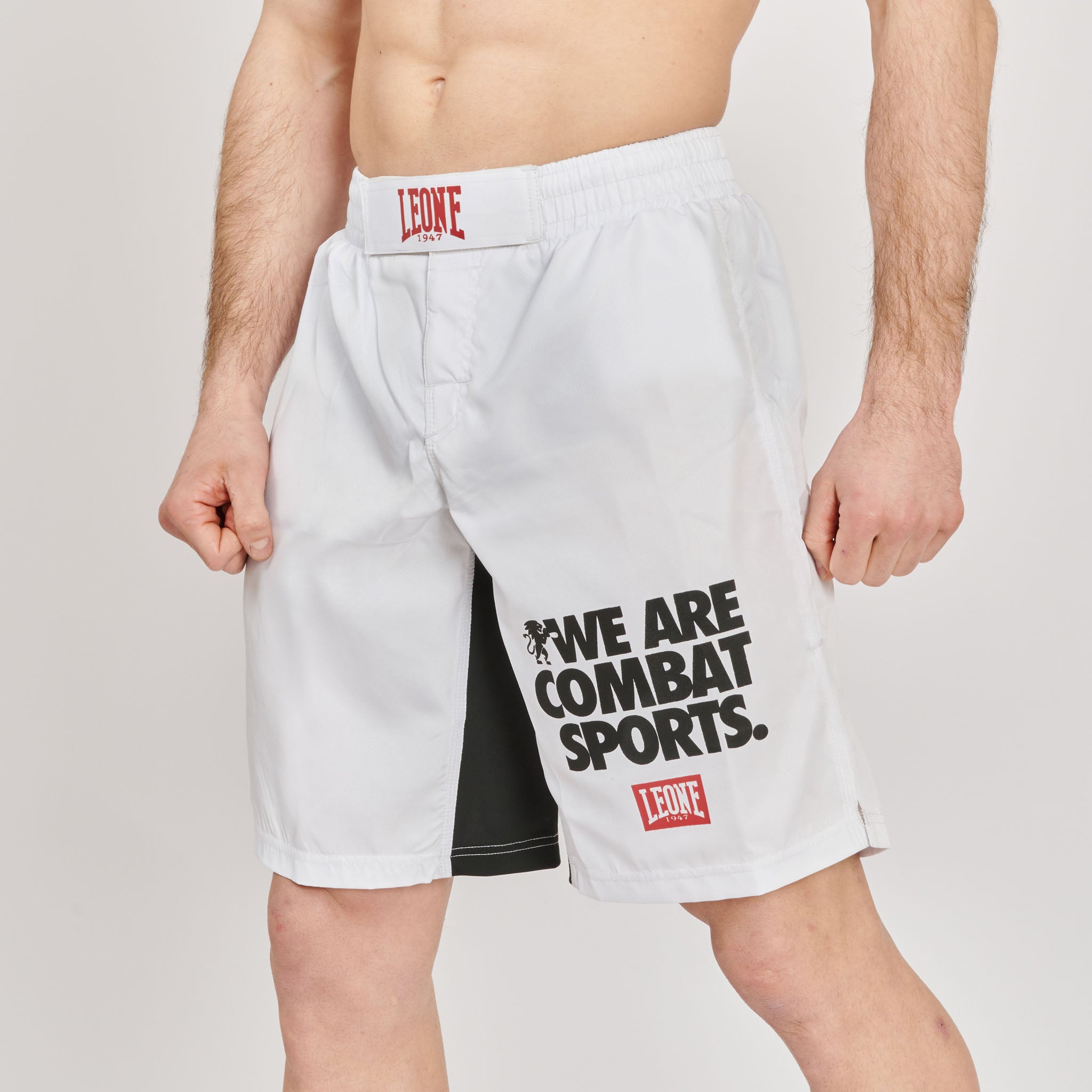 PANTA MMA LOGO WACS