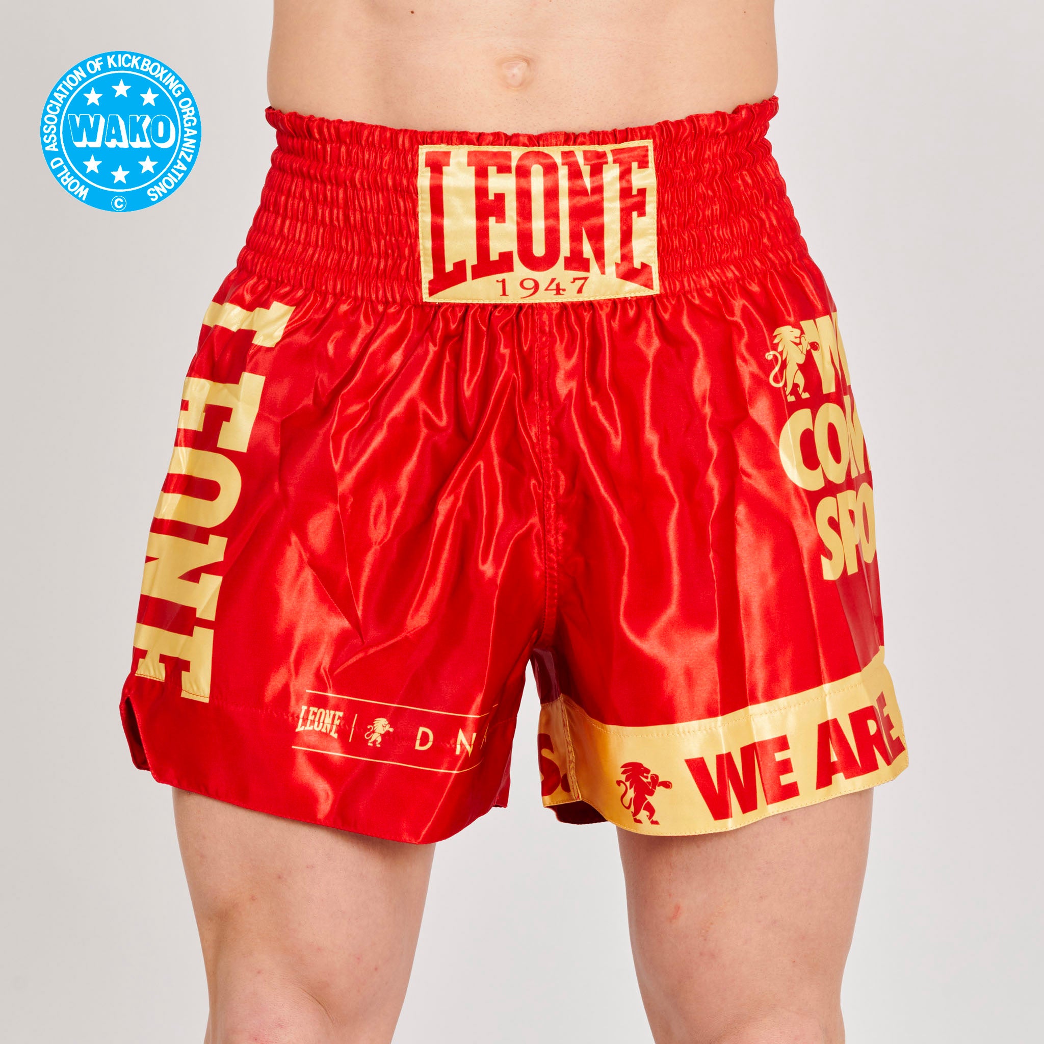 KICK-THAI SHORTS DNA WAKO APPROVED