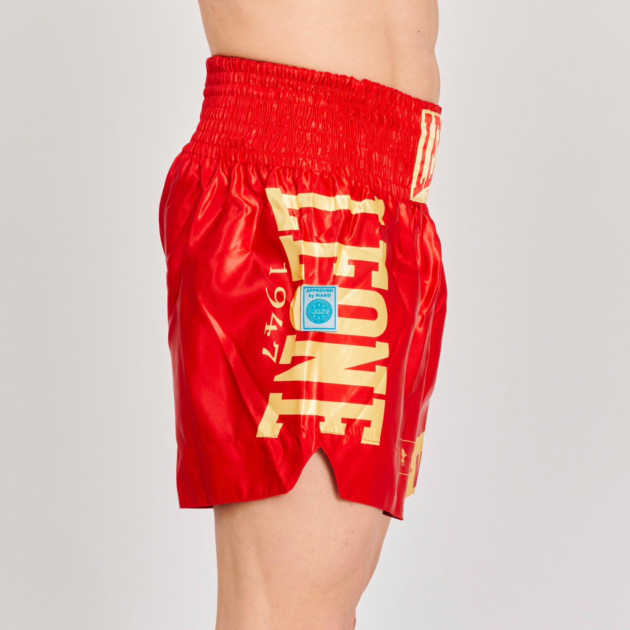 KICK-THAI SHORTS DNA WAKO APPROVED