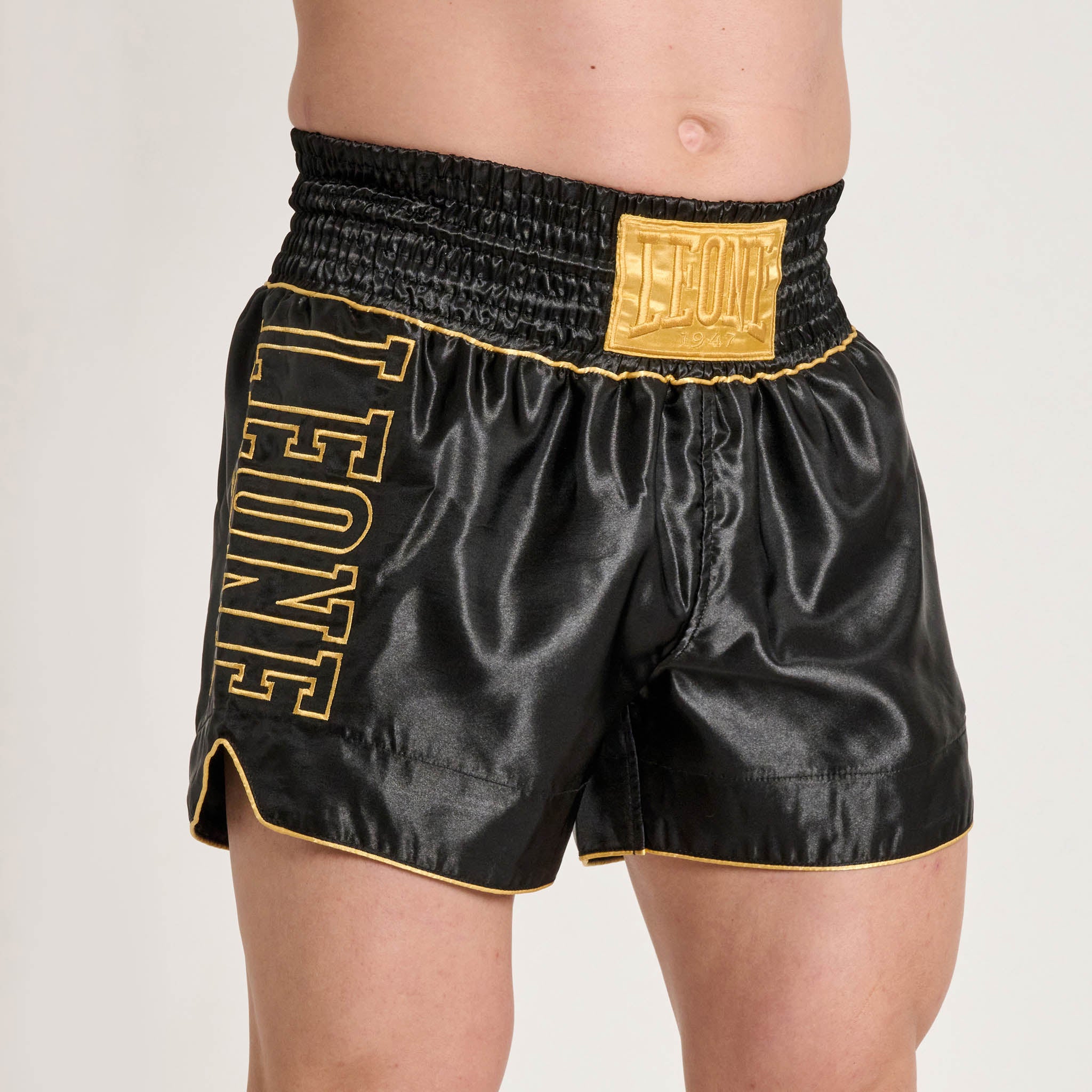 DNA PREMIUM KICK/THAI SHORTS