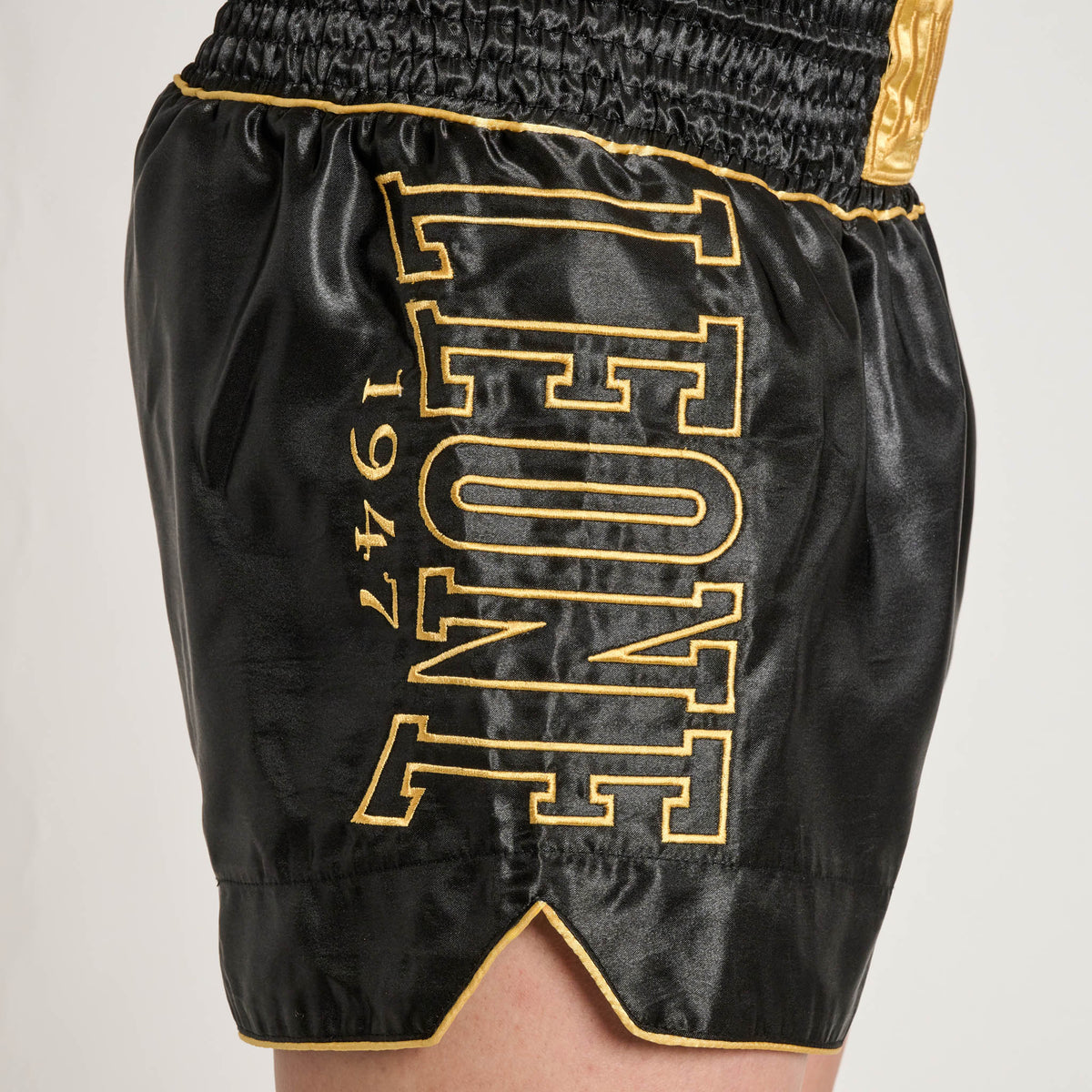 DNA PREMIUM KICK/THAI SHORTS