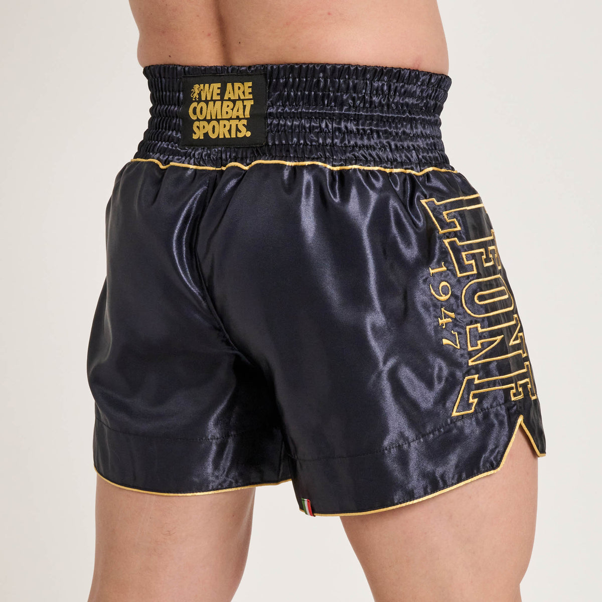 DNA PREMIUM KICK/THAI SHORTS