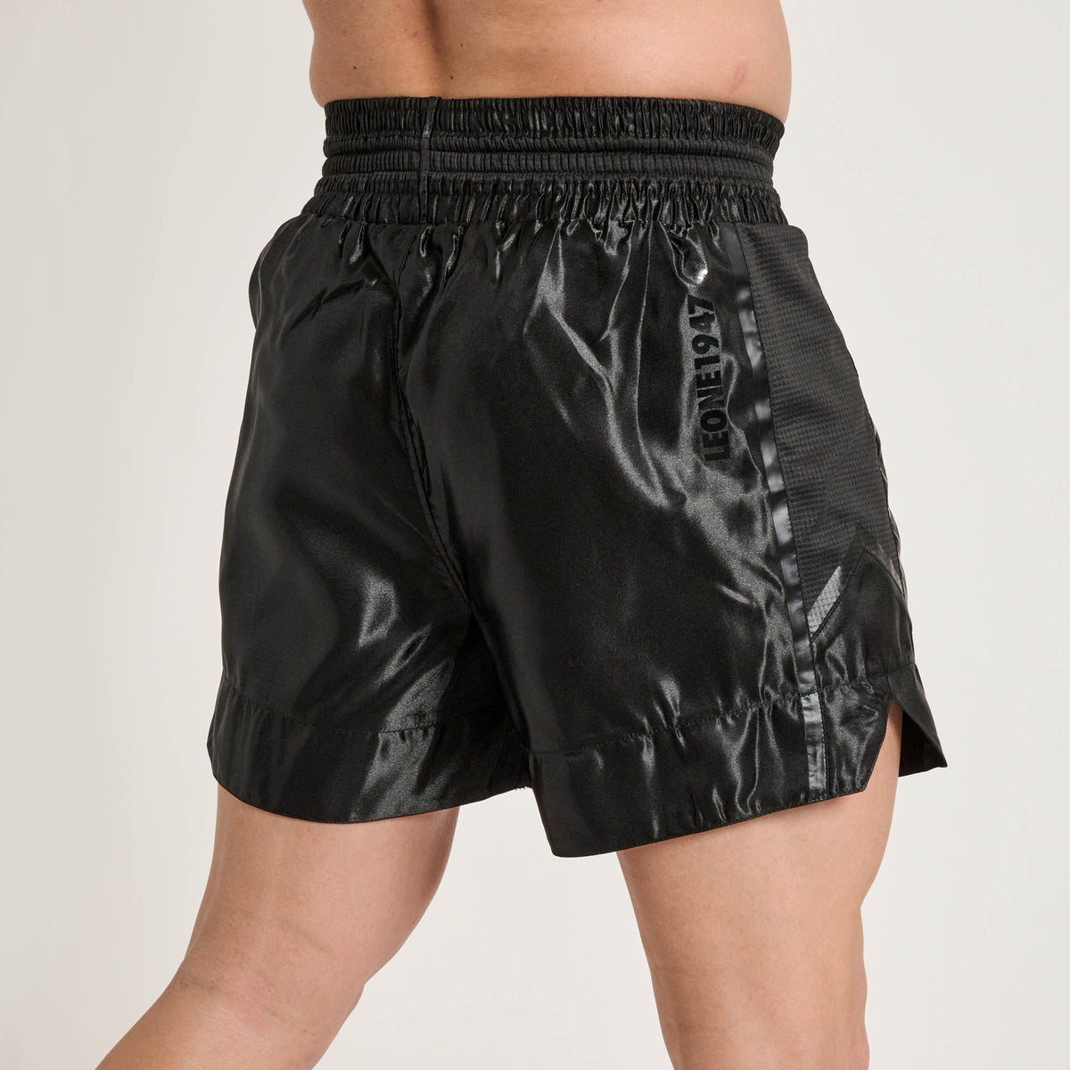 BLACK LION KICK/THAI SHORTS