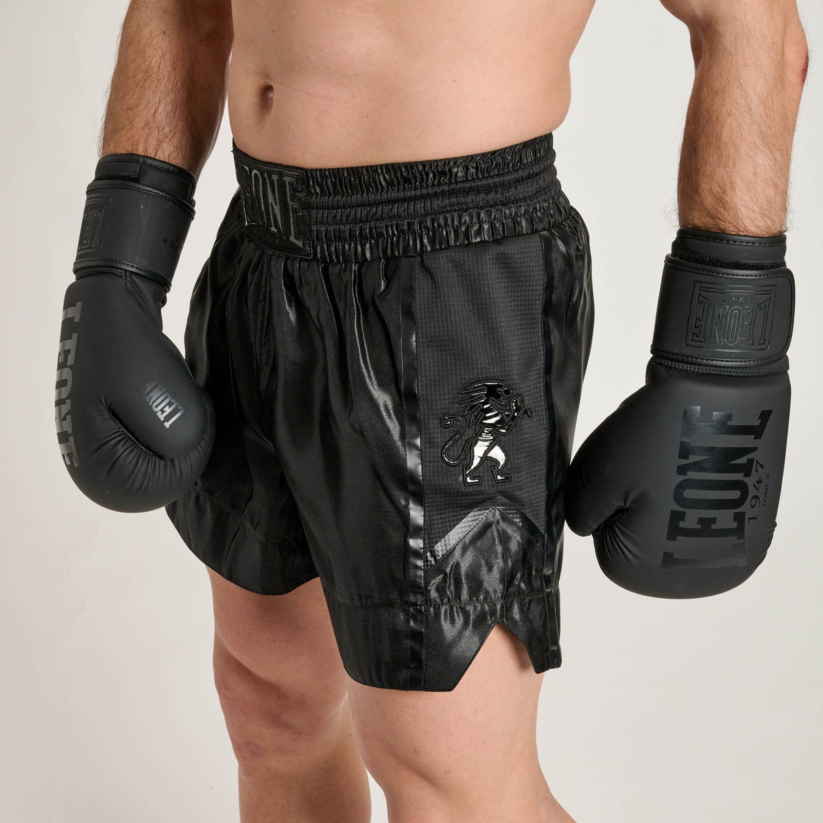 BLACK LION KICK/THAI SHORTS