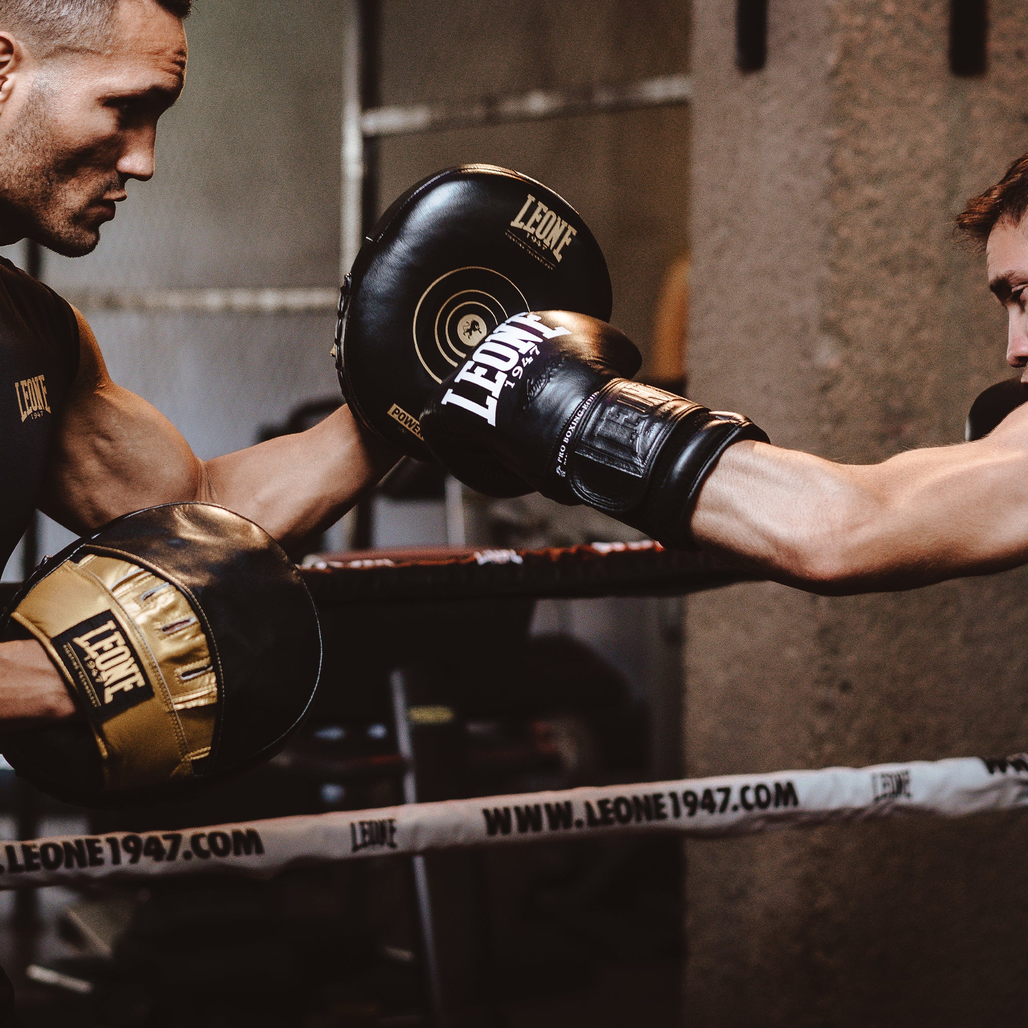 POWER LINE PUNCH MITTS