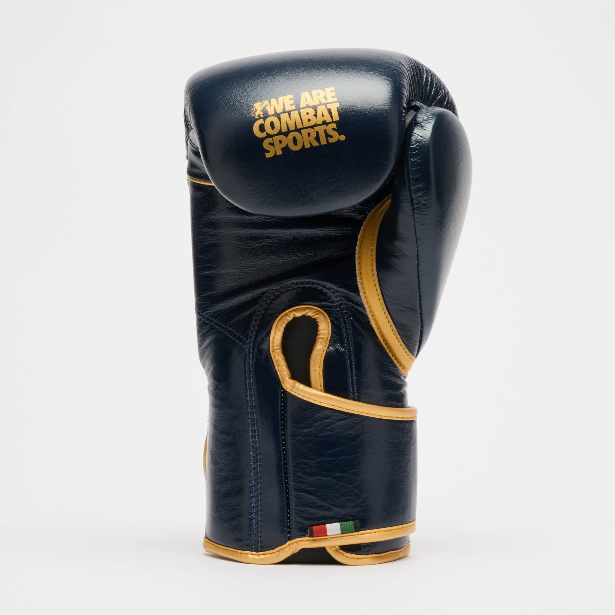 DNA PREMIUM BOXING GLOVES