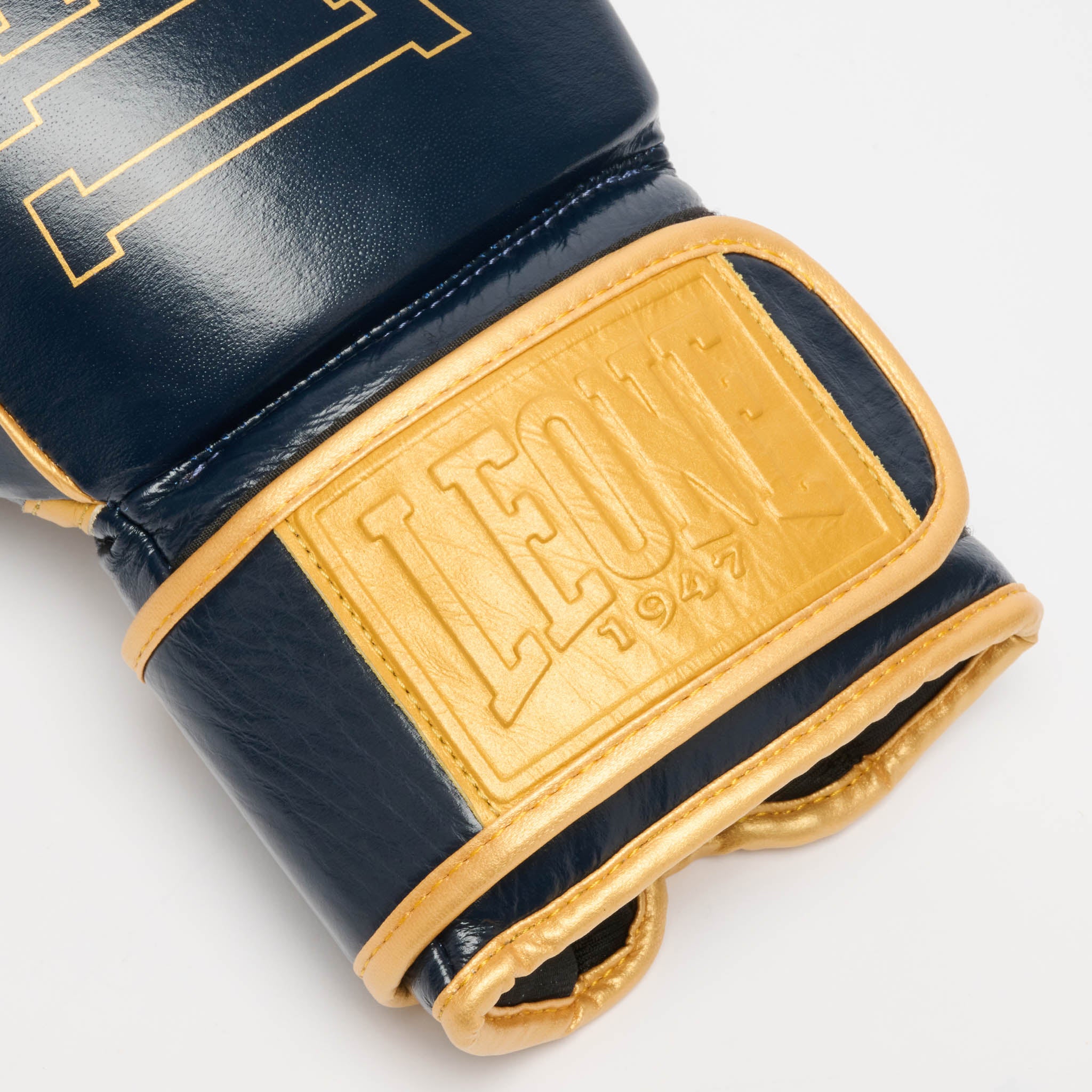 DNA PREMIUM BOXING GLOVES