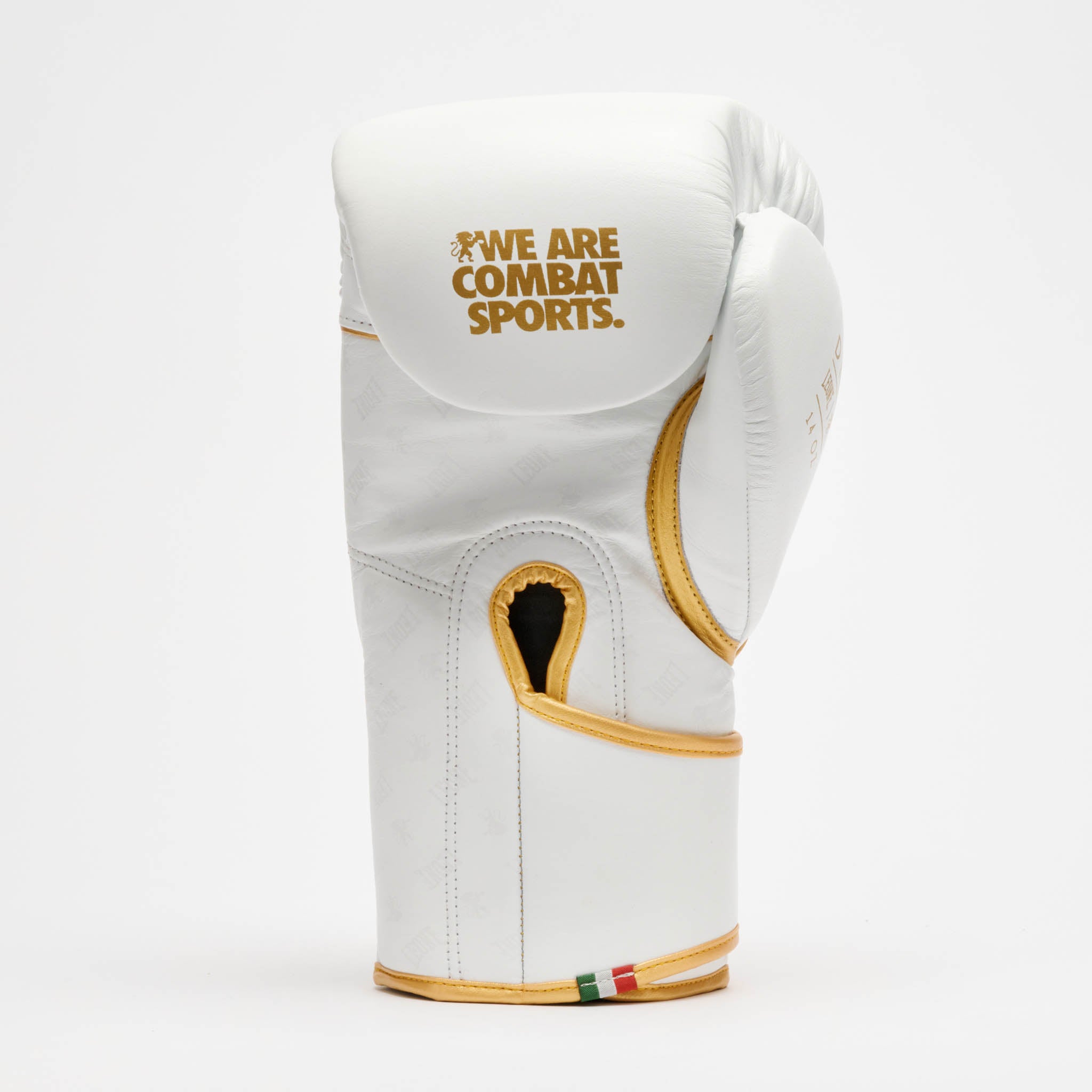 GUANTONE DA BOXE DNA PREMIUM