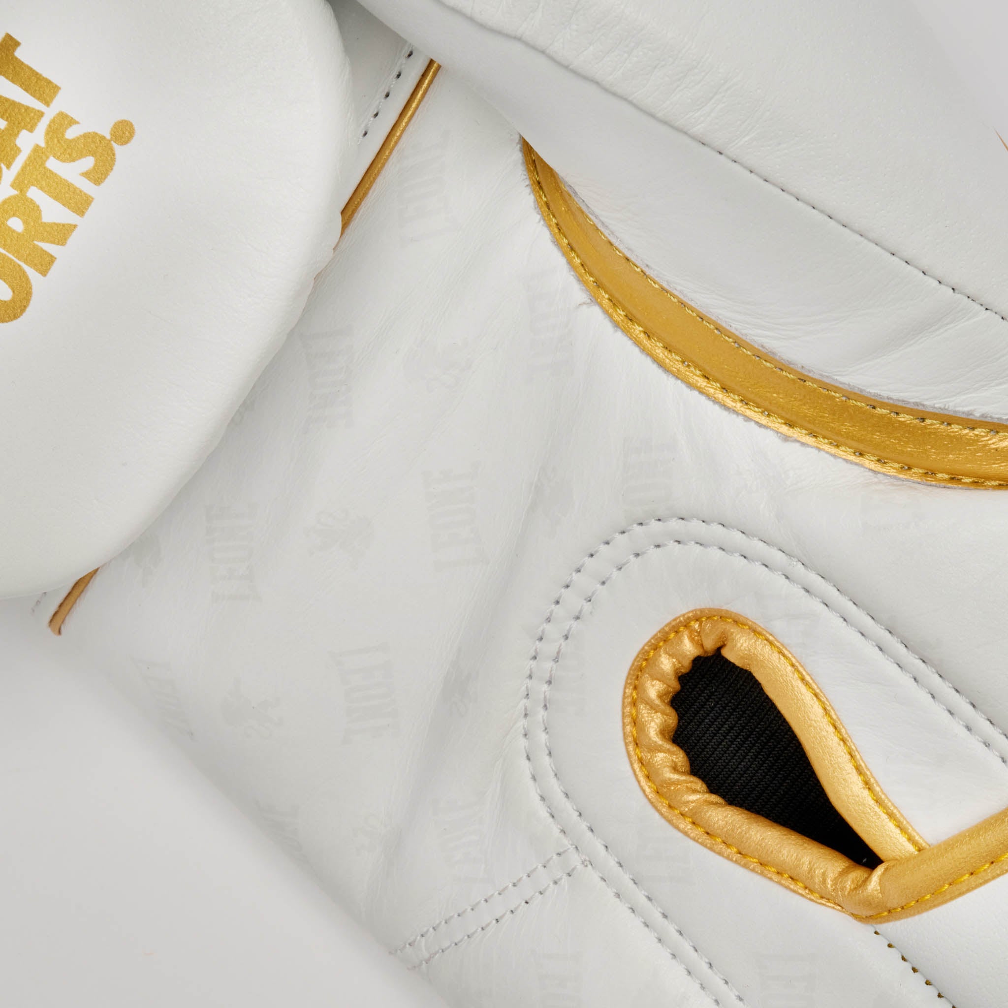 GUANTONE DA BOXE DNA PREMIUM