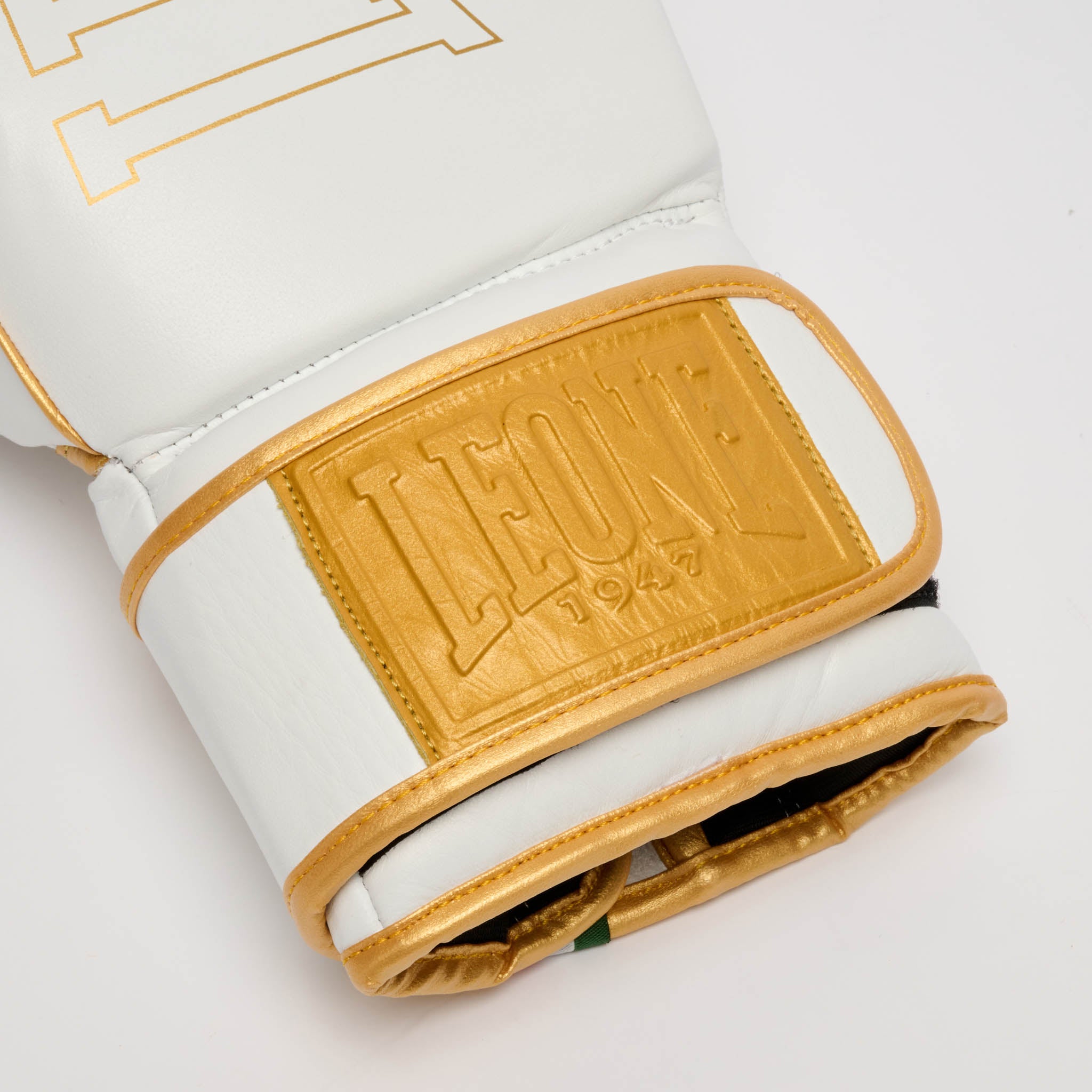 GUANTONE DA BOXE DNA PREMIUM