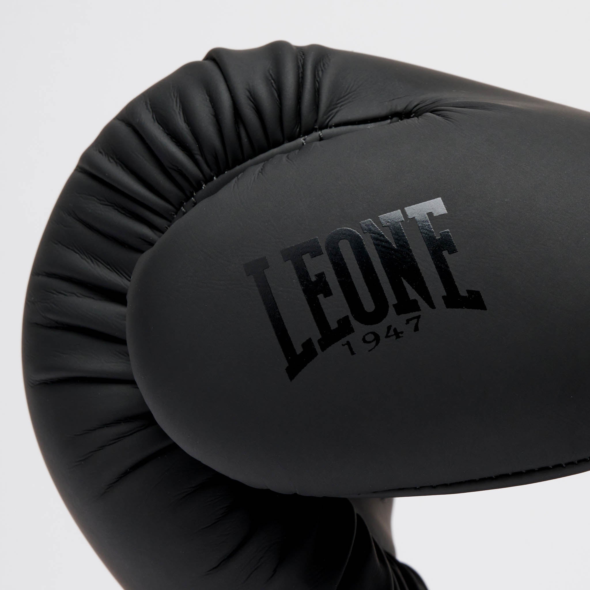 GUANTI DA BOXE TONE X