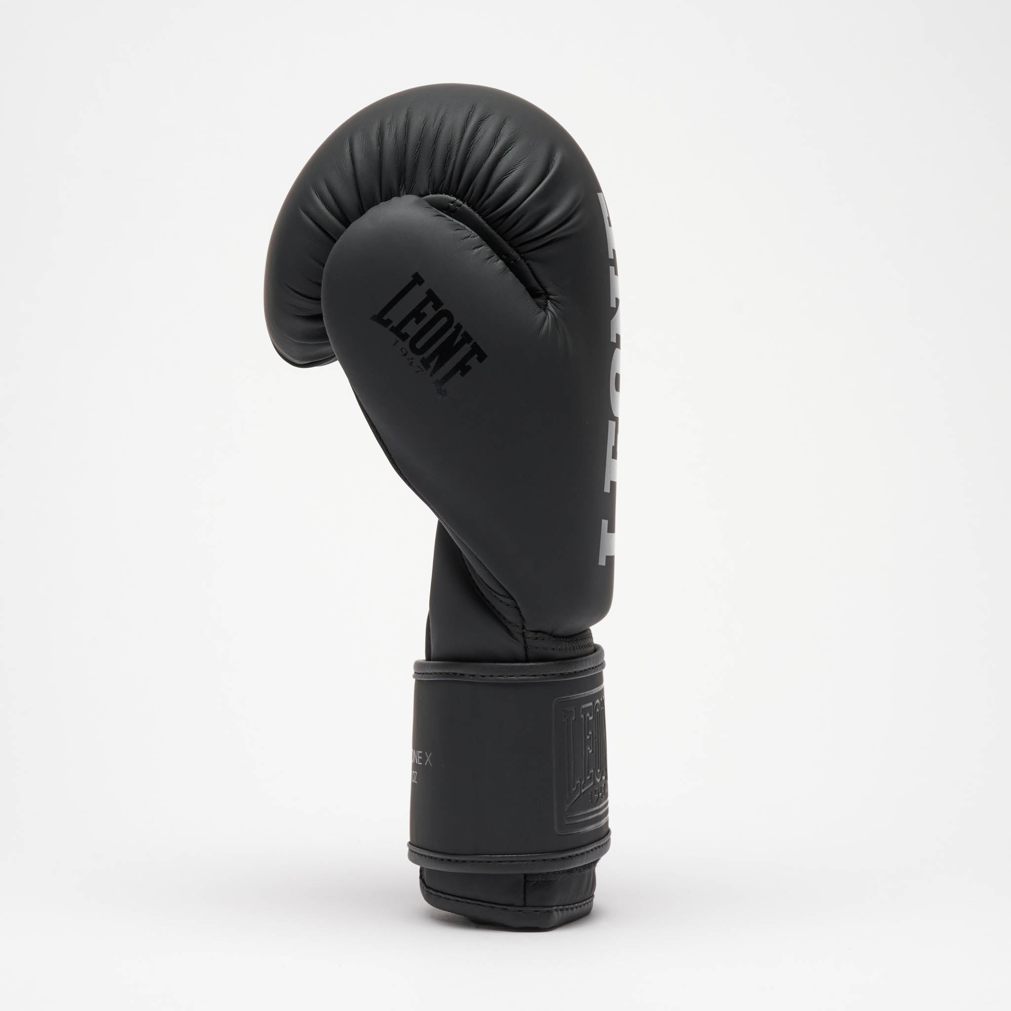 GUANTI DA BOXE TONE X