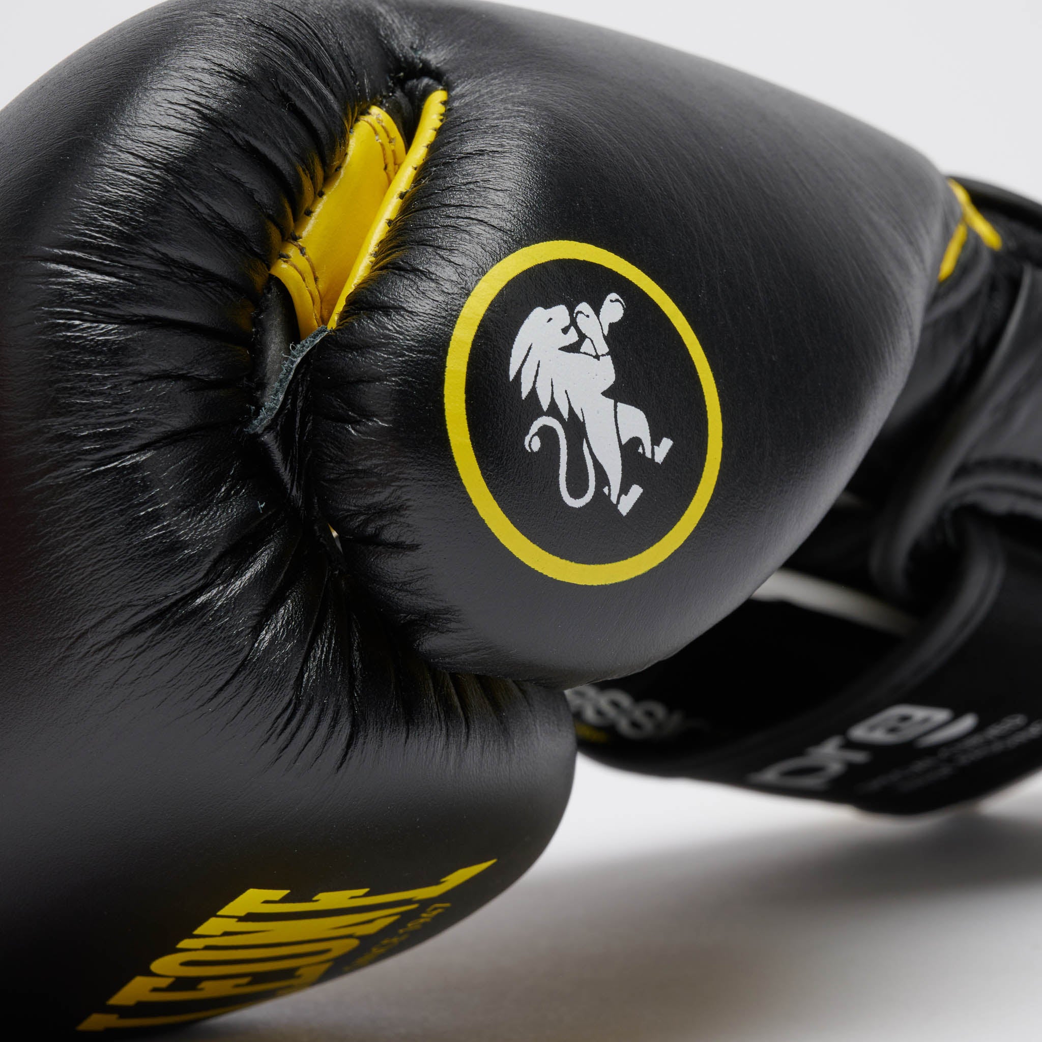 GUANTI BOXE PROFESSIONAL 2