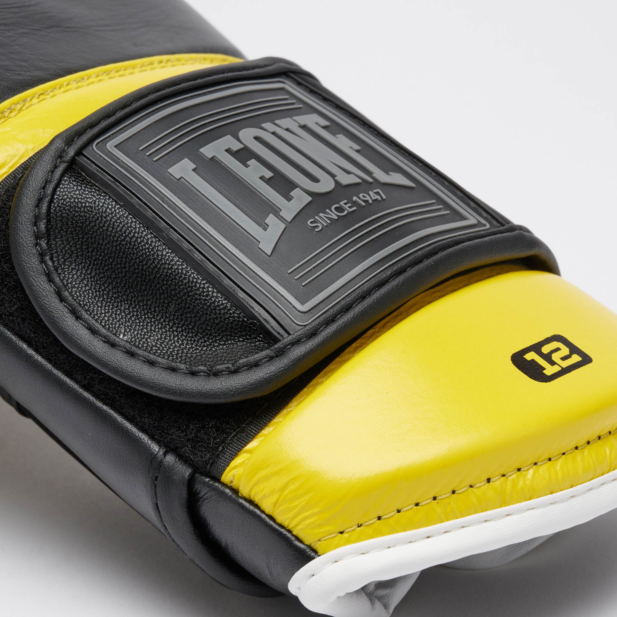 GUANTI BOXE PROFESSIONAL 2