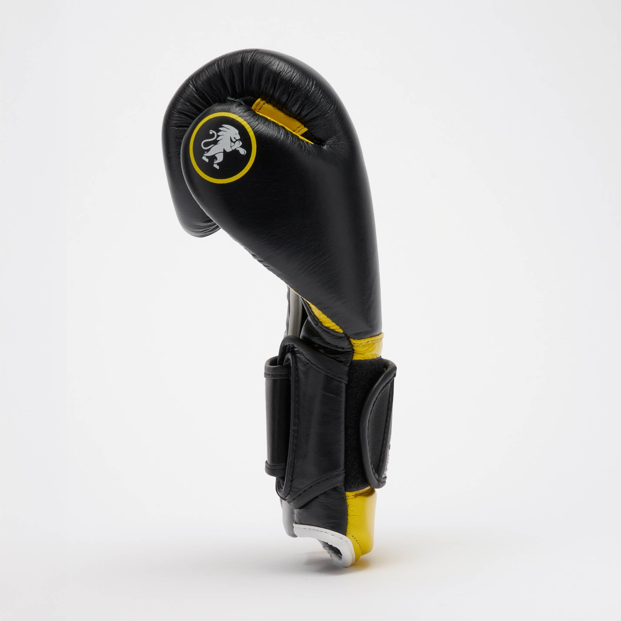 GUANTI BOXE PROFESSIONAL 2
