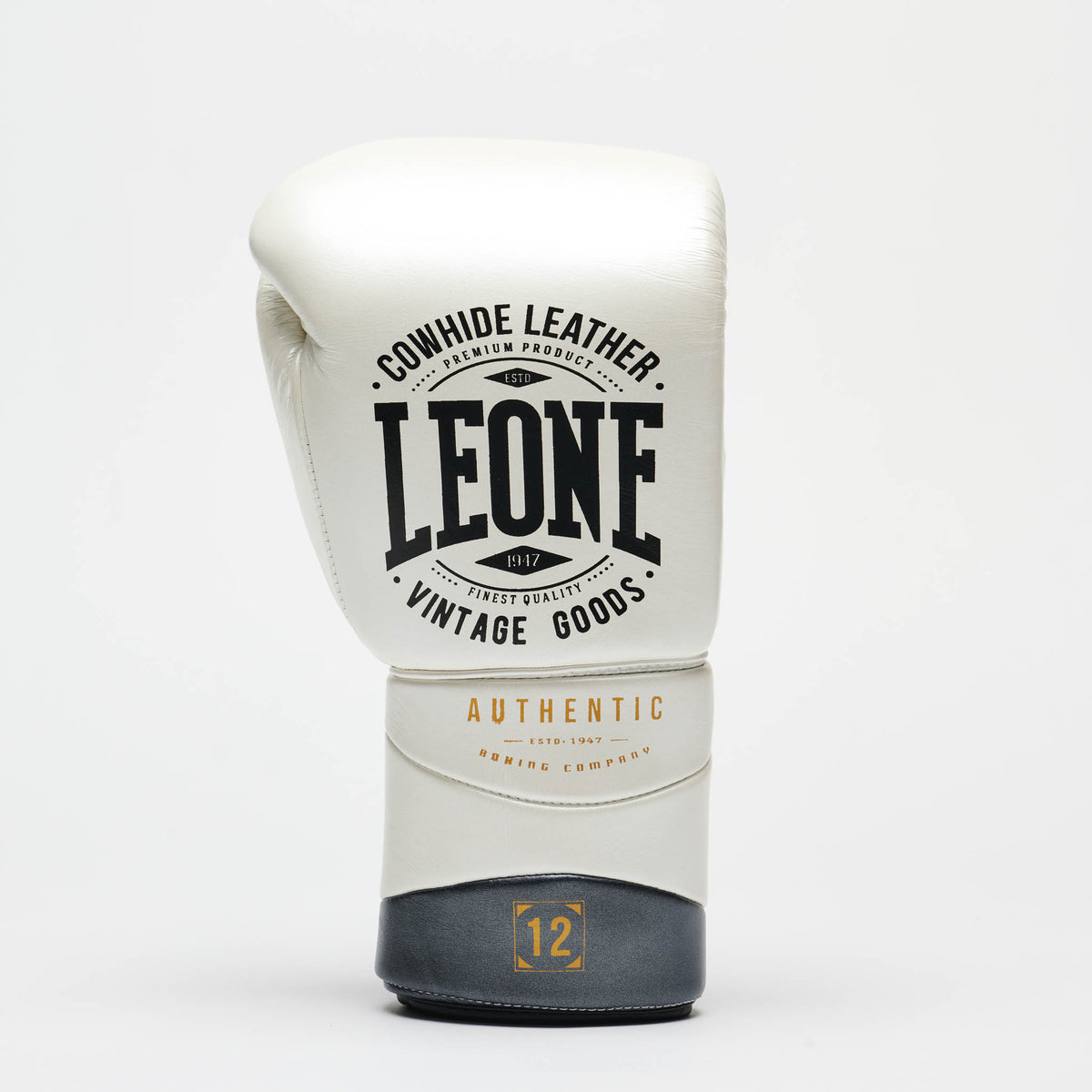 BOXING GLOVES AUTHENTIC 2