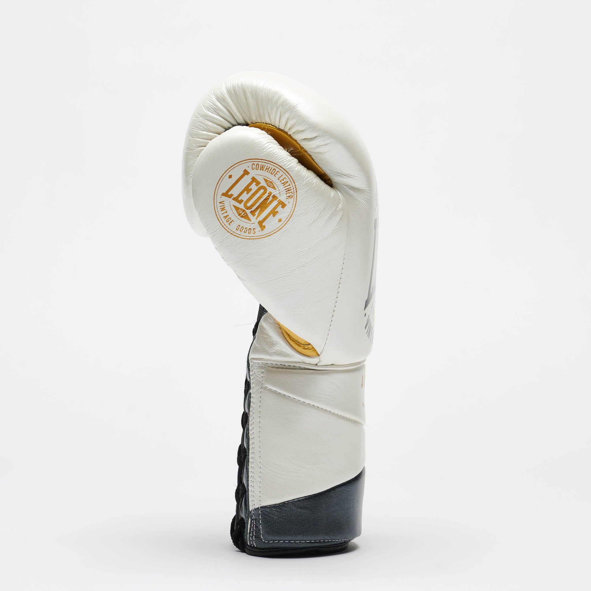 GUANTI BOXE AUTHENTIC 2