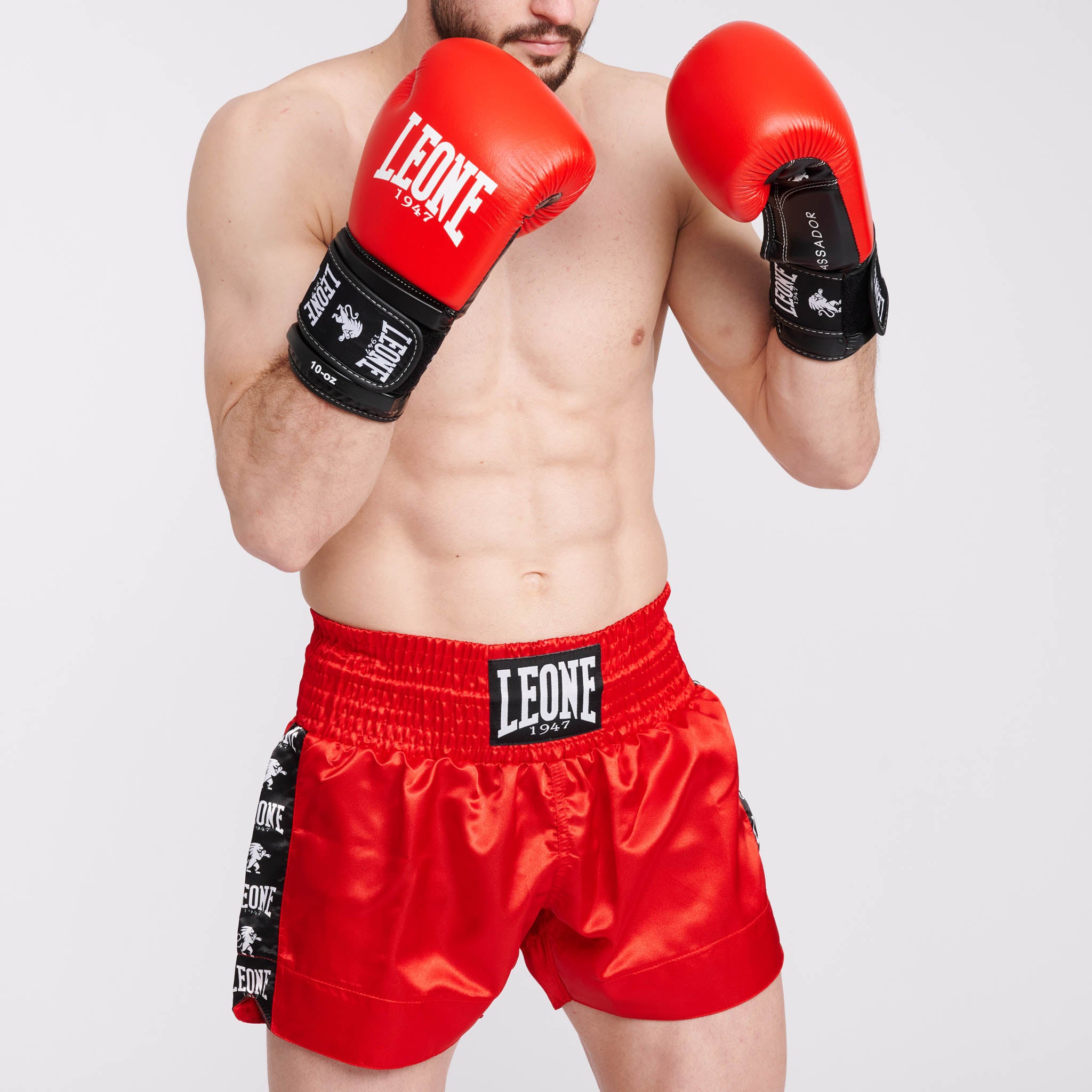 GUANTI BOXE AMBASSADOR