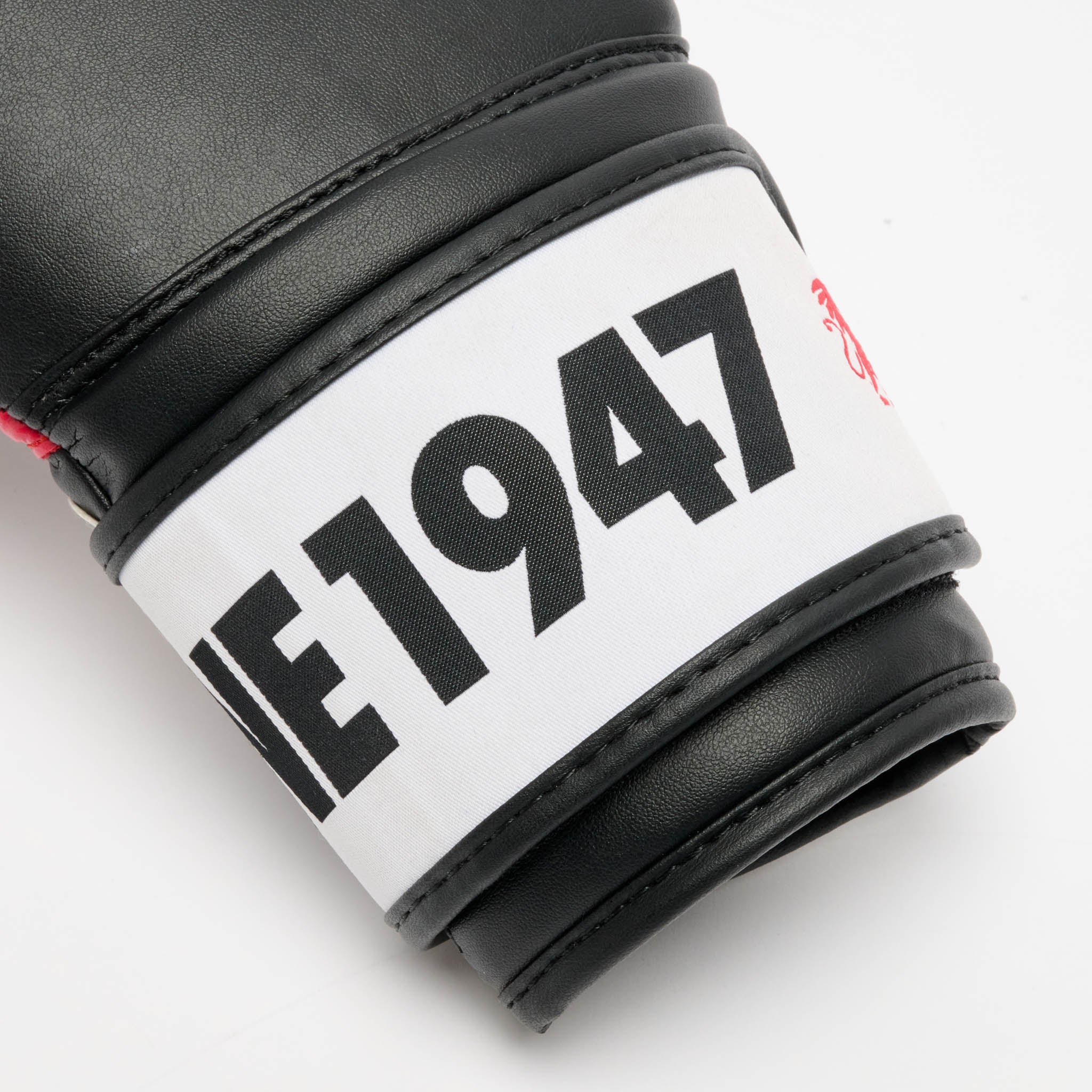 GUANTONE DA BOXE STRIPE '47