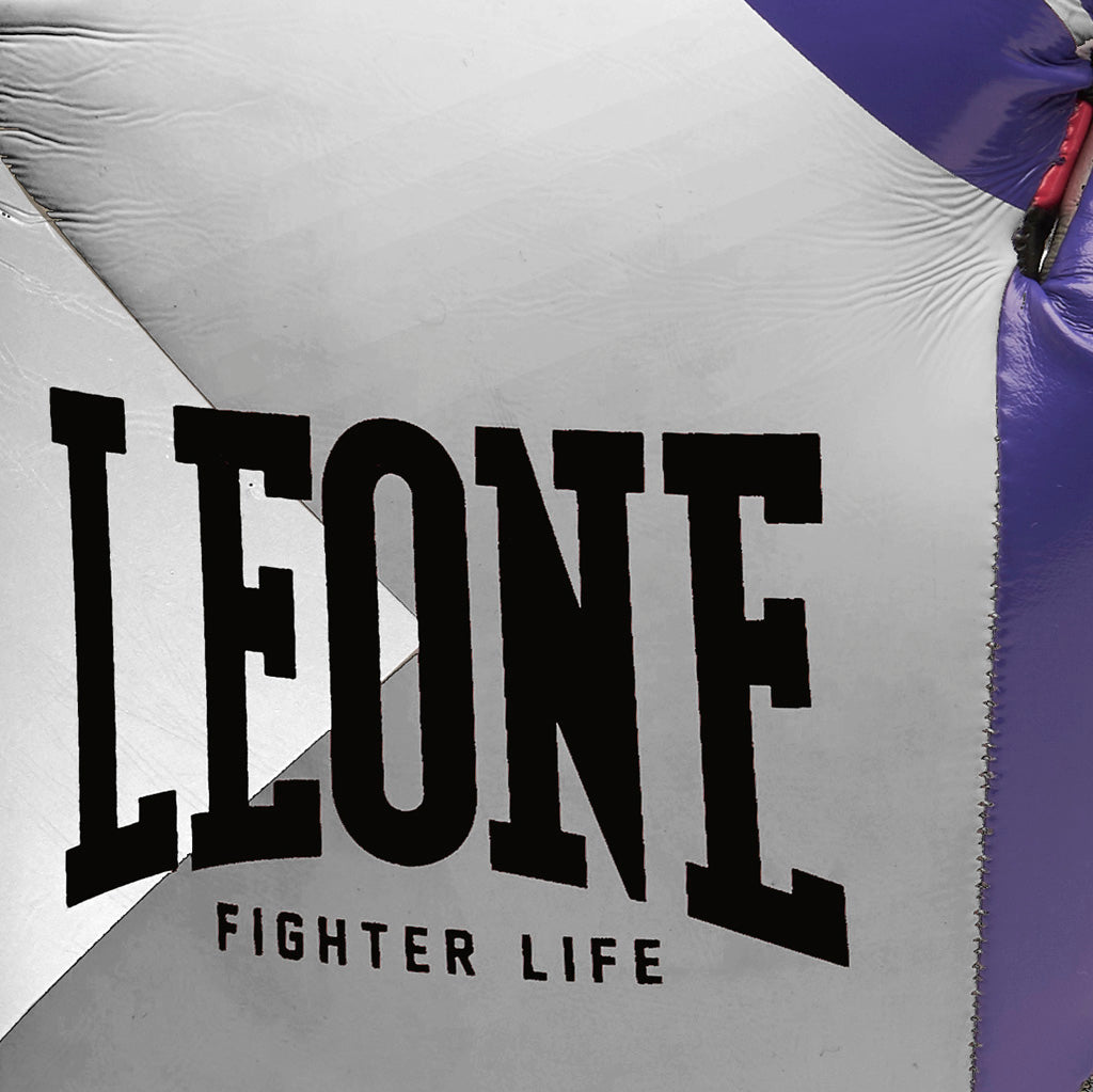GUANTI BOXE FIGHTER LIFE