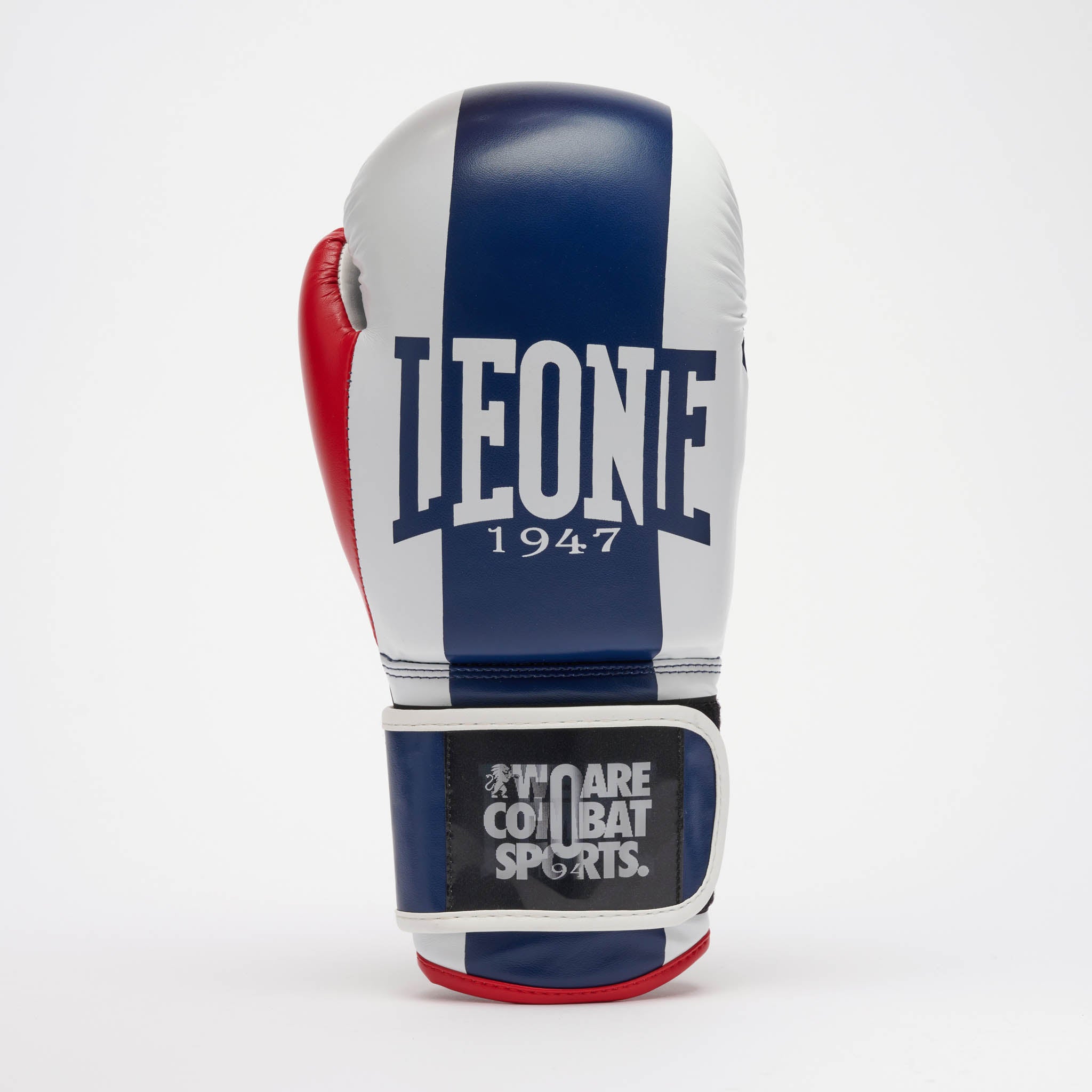 GUANTI BOXE COLOR BLOCK