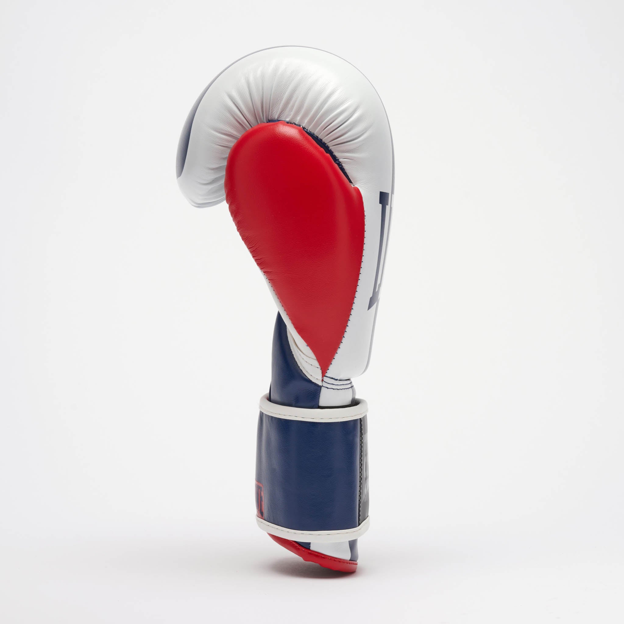 GUANTI BOXE COLOR BLOCK