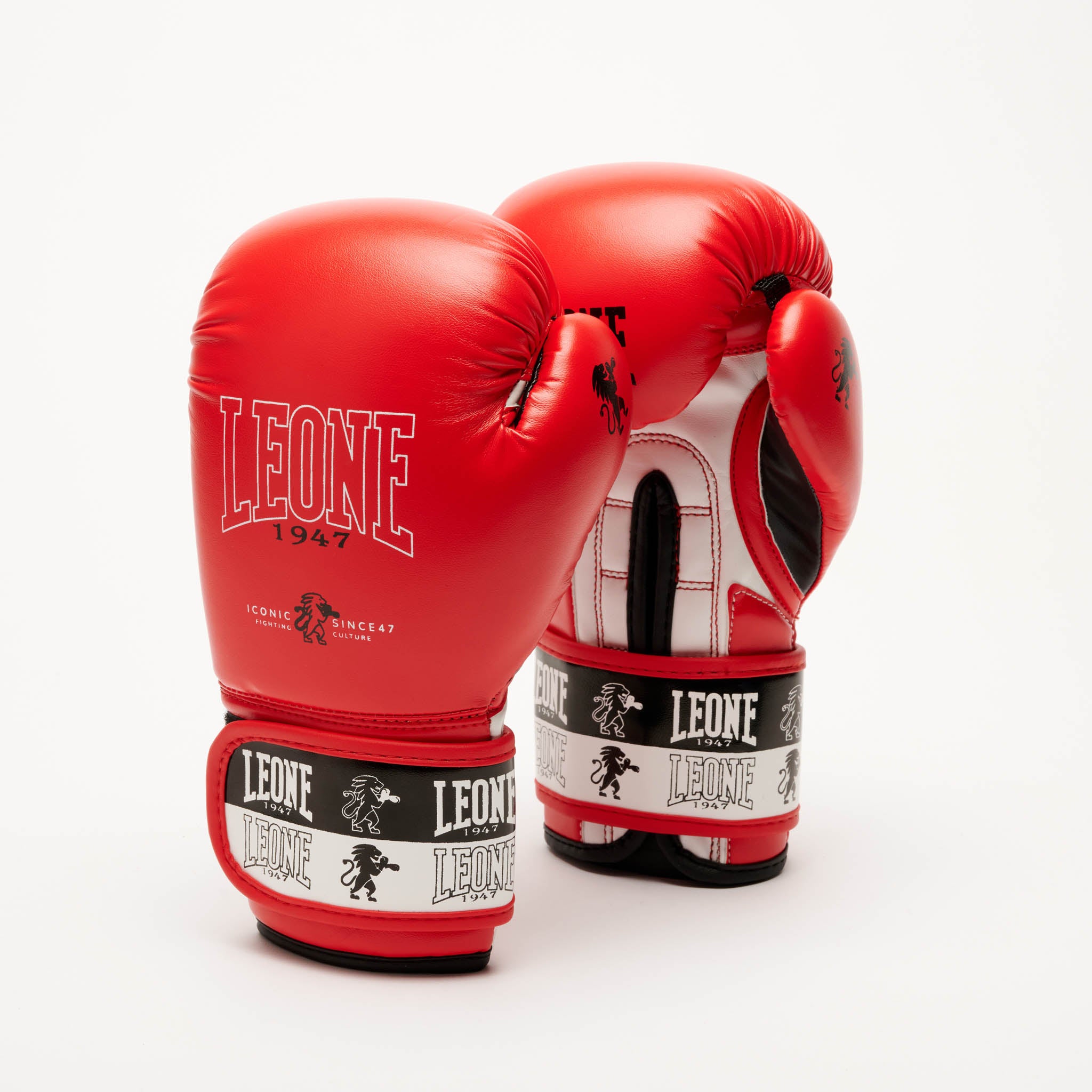 ICONIC BOXING GLOVES