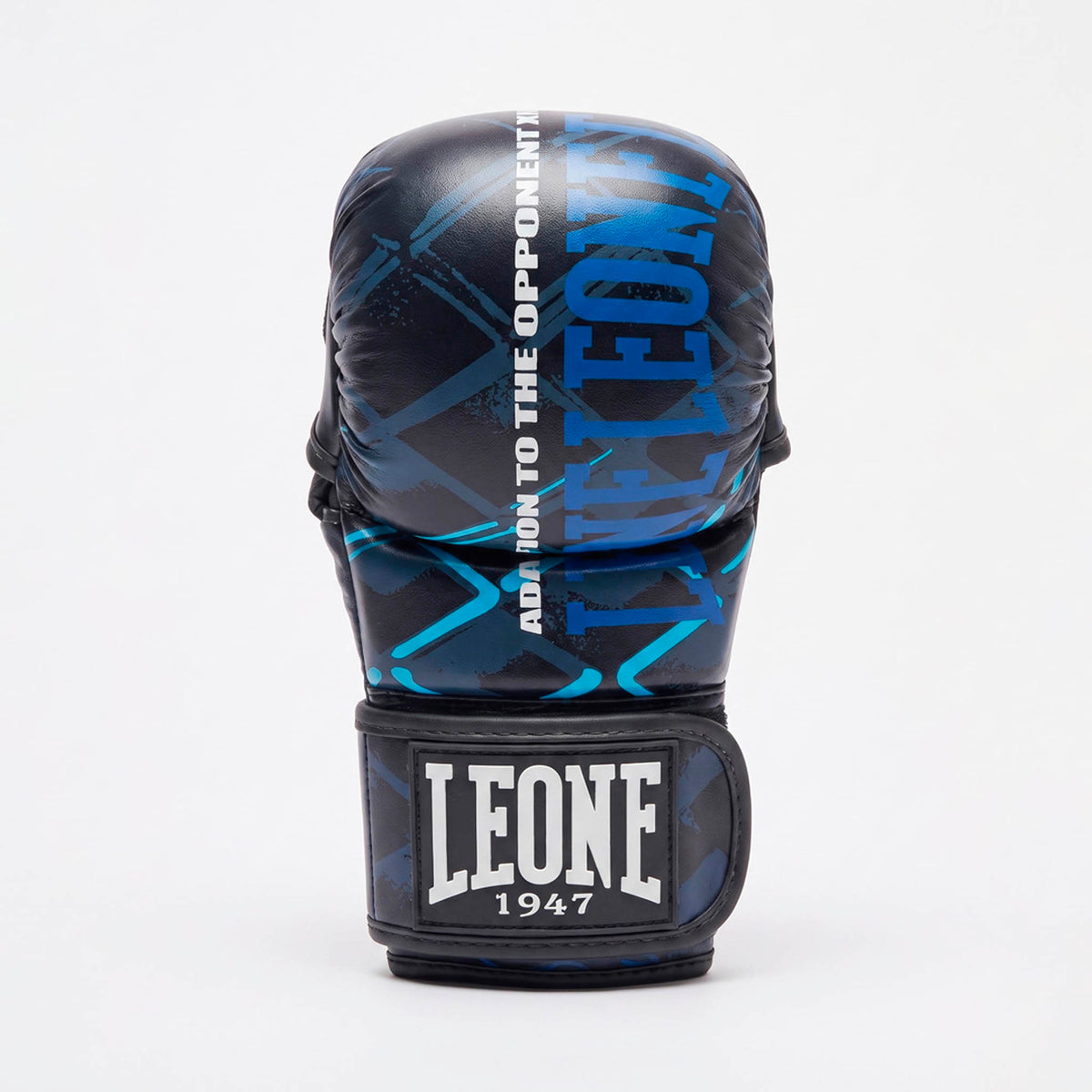 MMA GLOVES CAGE