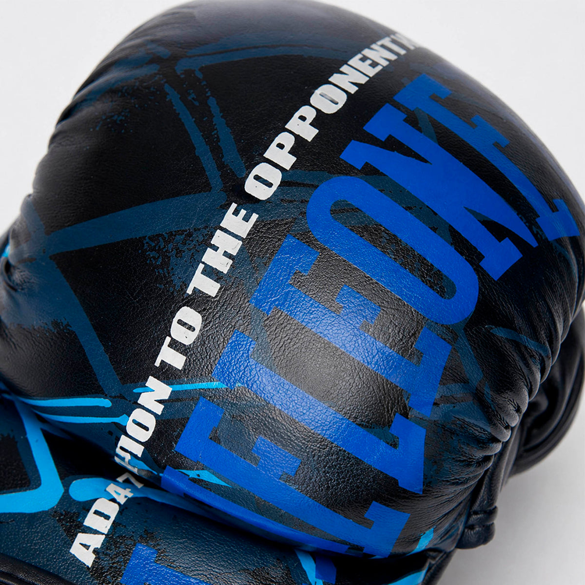 MMA GLOVES CAGE