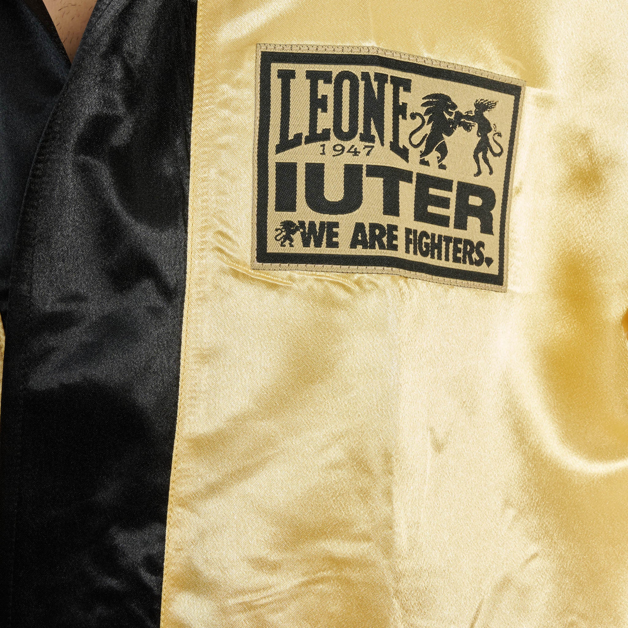 VESTAGLIA LEONE X IUTER