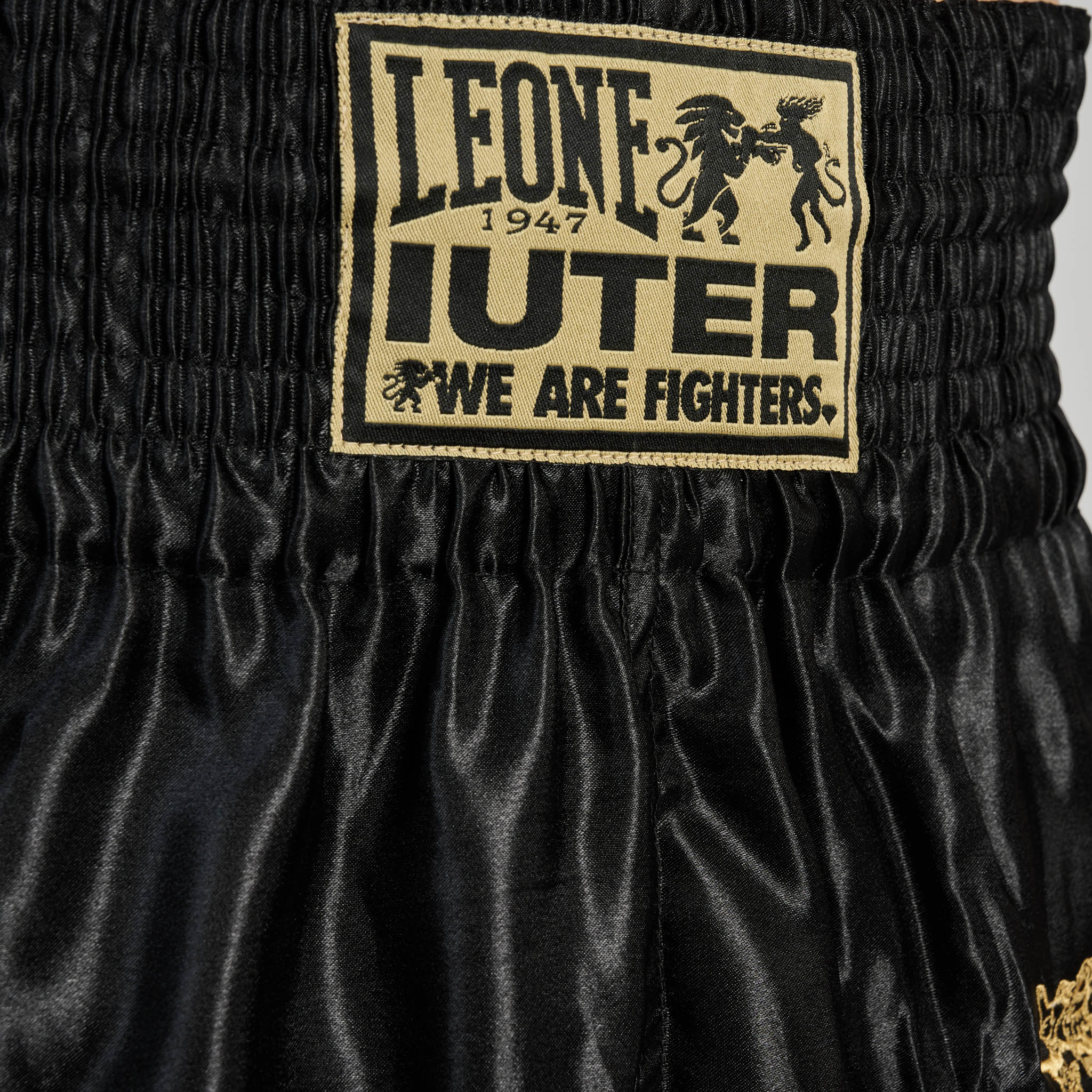 PANTA KOMBAT LEONE X IUTER