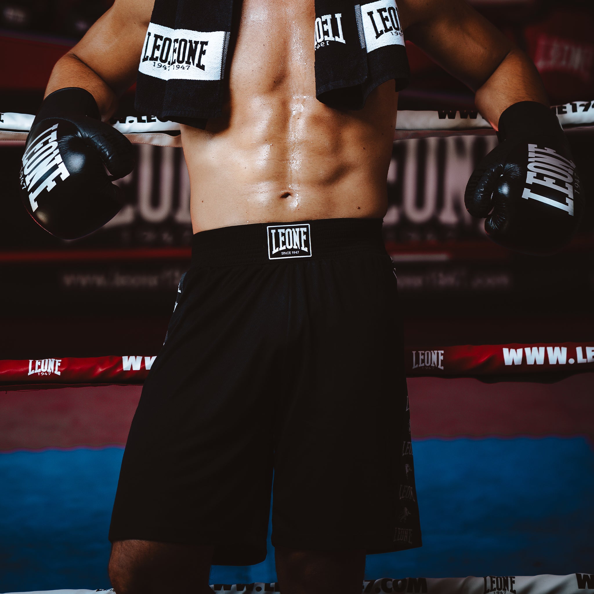 PANTA BOXE AMBASSADOR