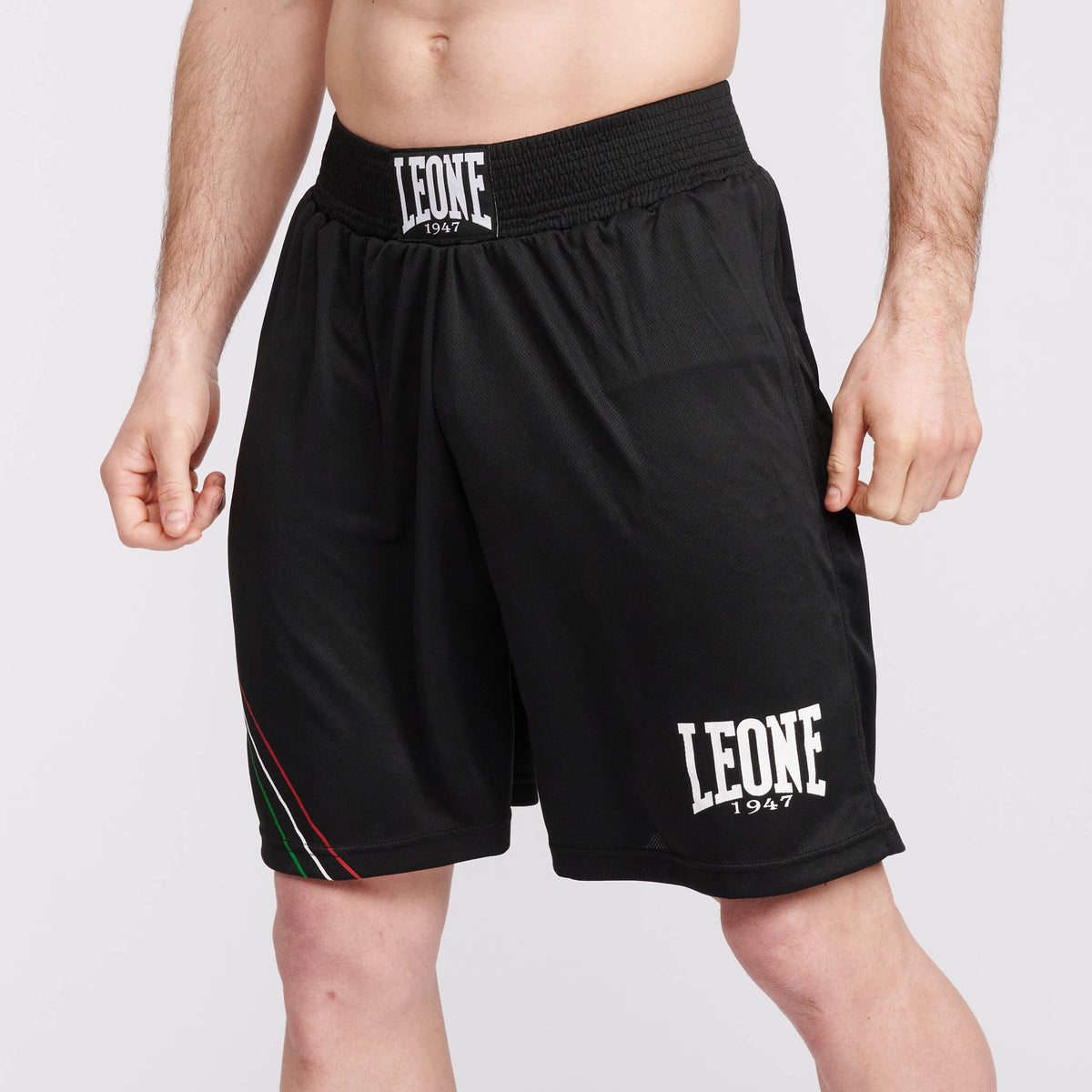 BOXING SHORTS FLAG