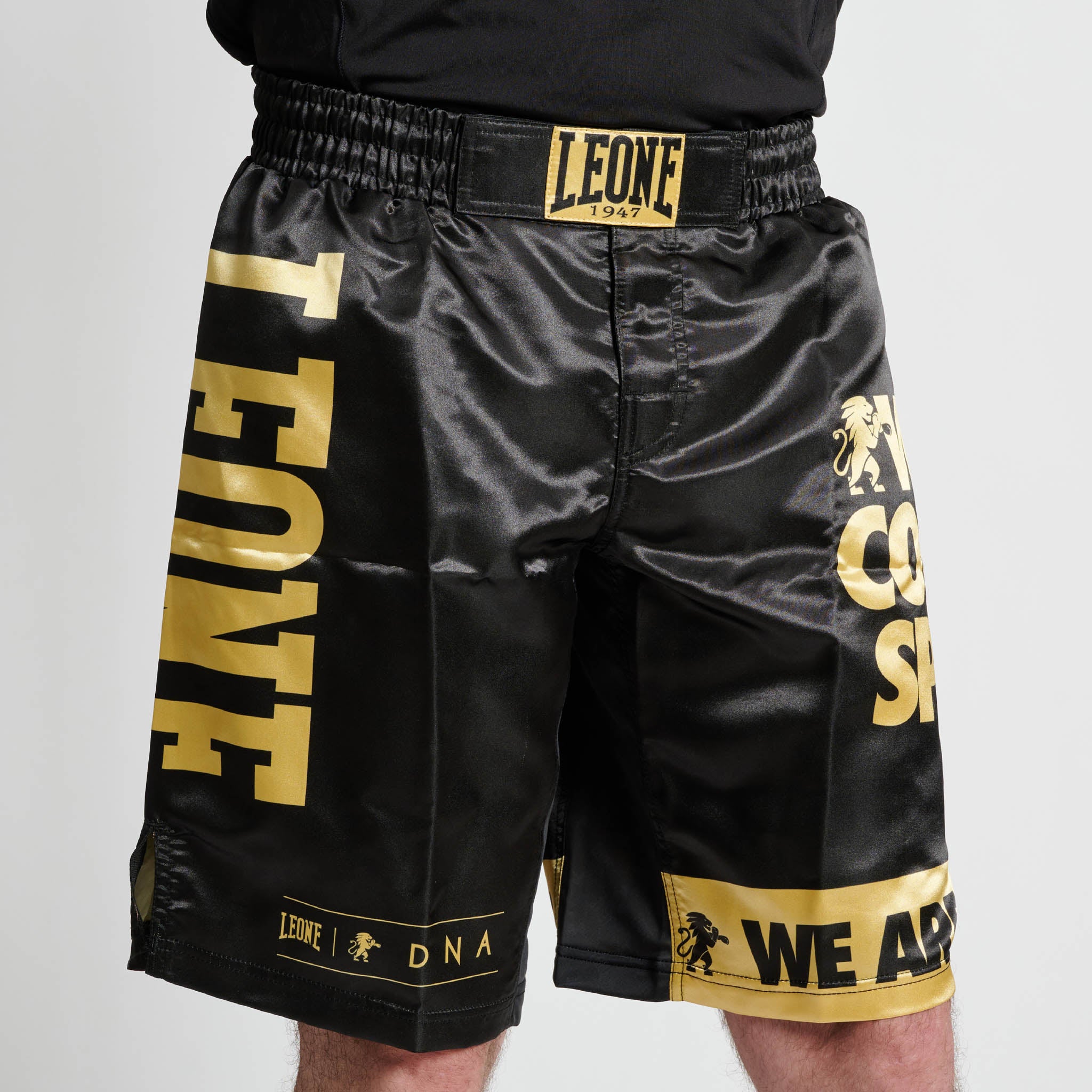 DNA MMA SHORTS
