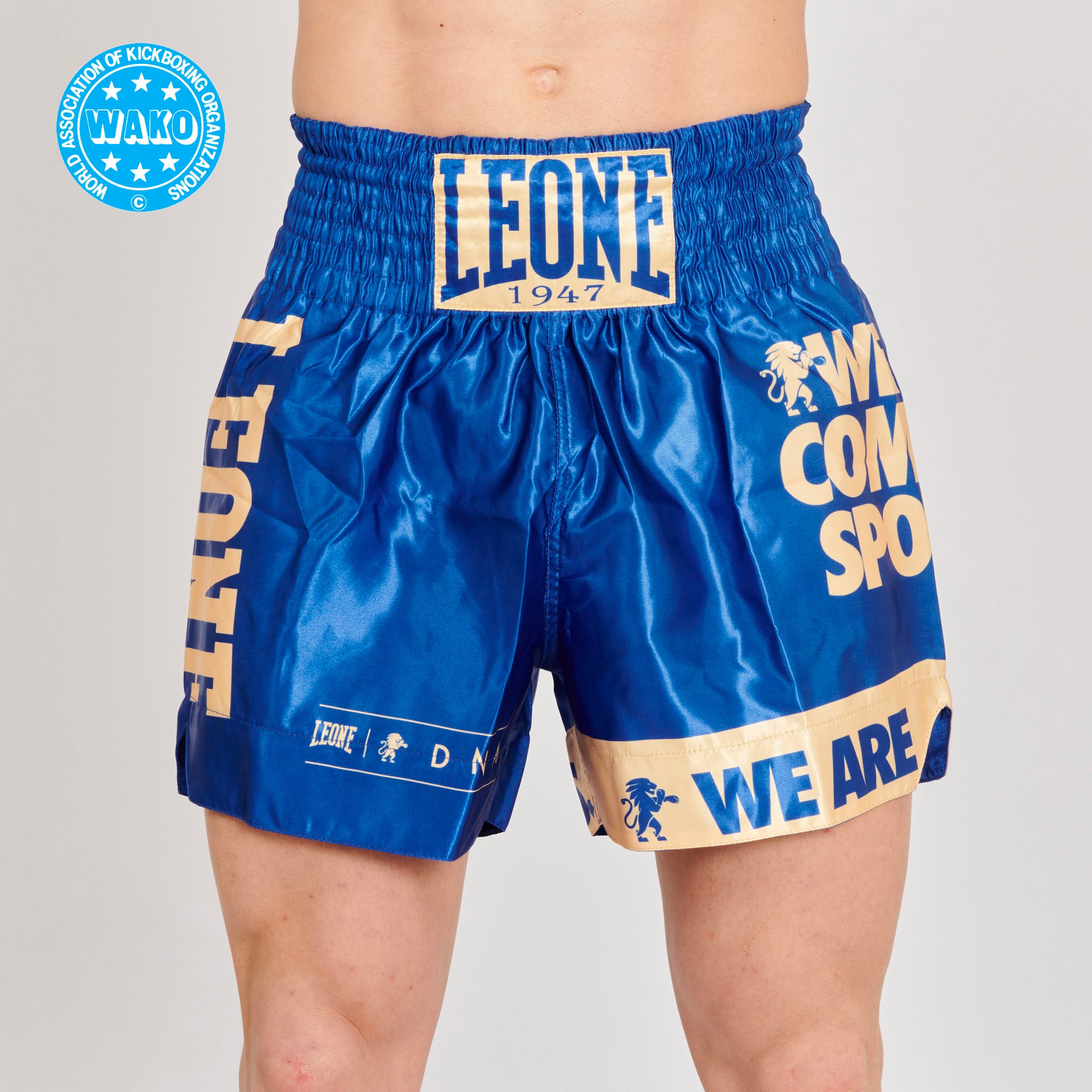 KICK-THAI SHORTS DNA WAKO APPROVED