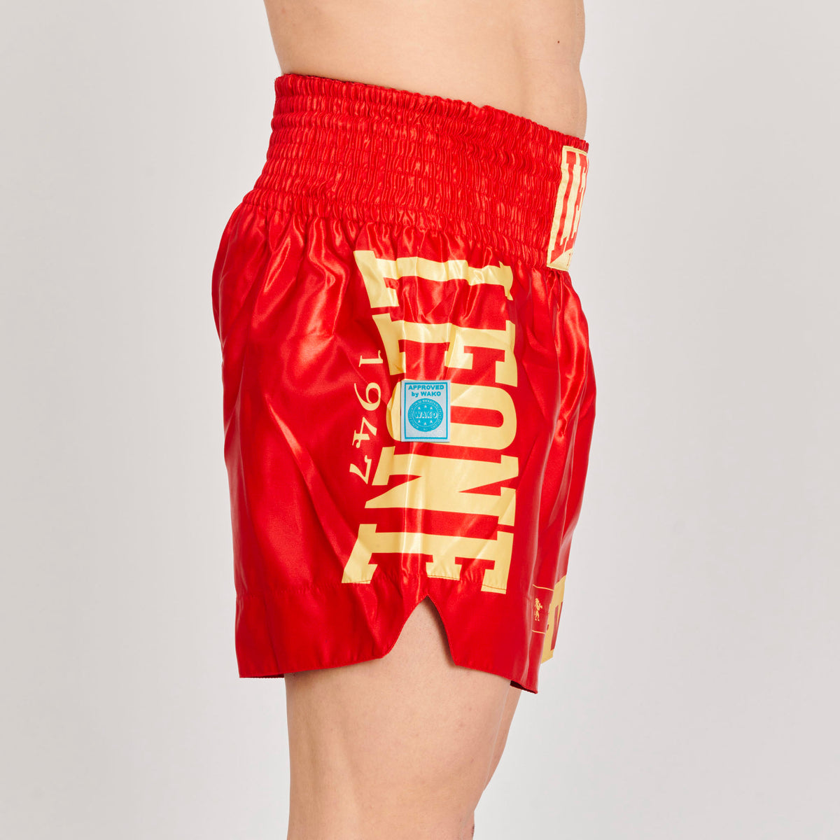 KICK-THAI SHORTS DNA WAKO APPROVED