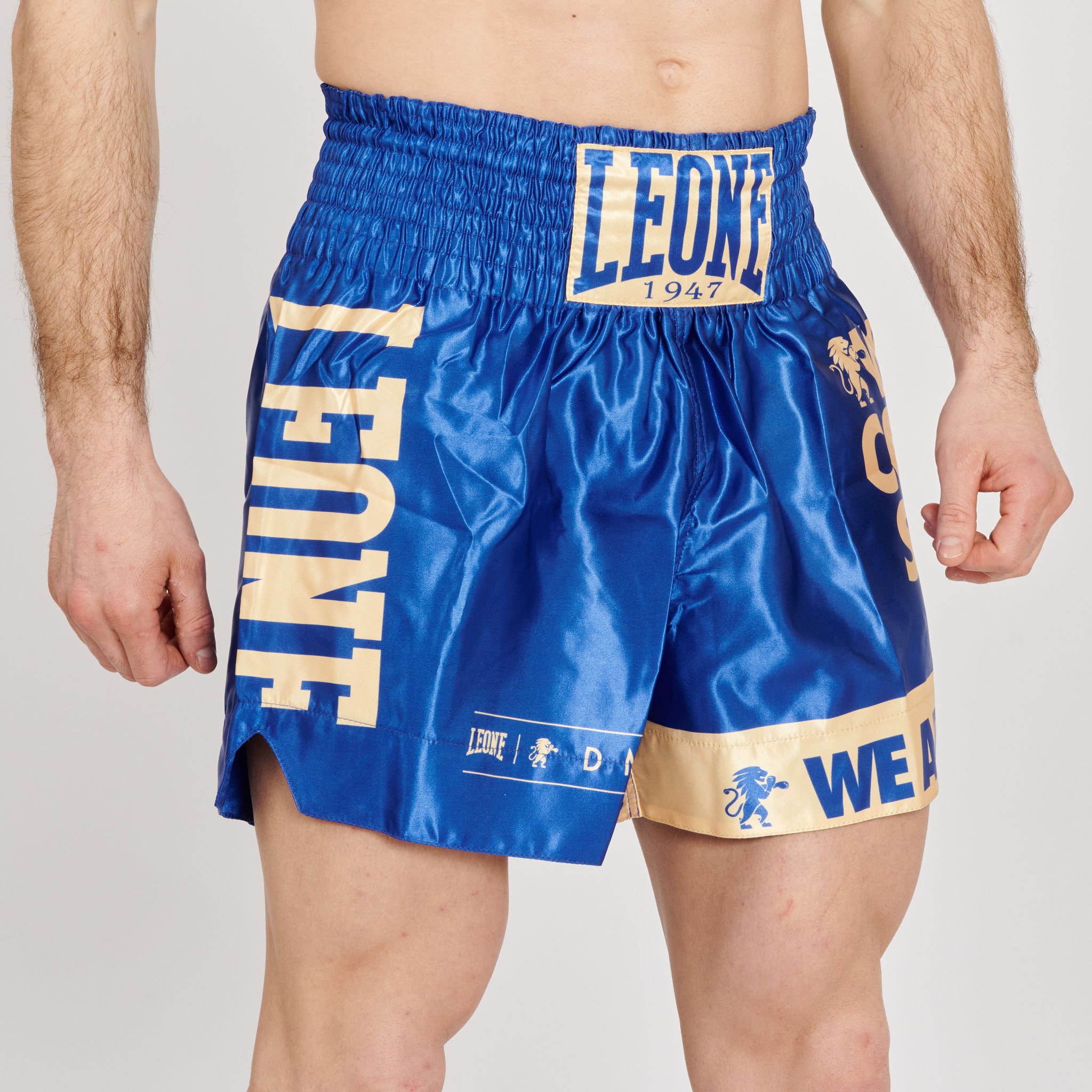KICK-THAI DNA SHORTS