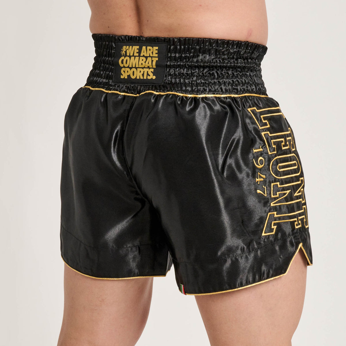 DNA PREMIUM KICK/THAI SHORTS