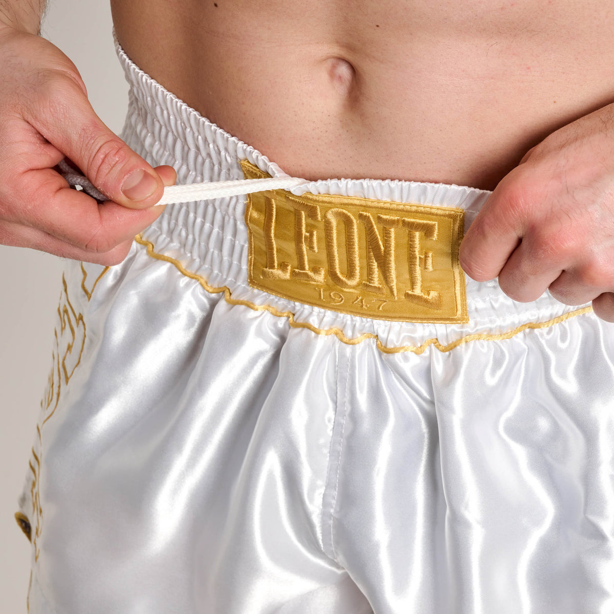 DNA PREMIUM KICK/THAI SHORTS