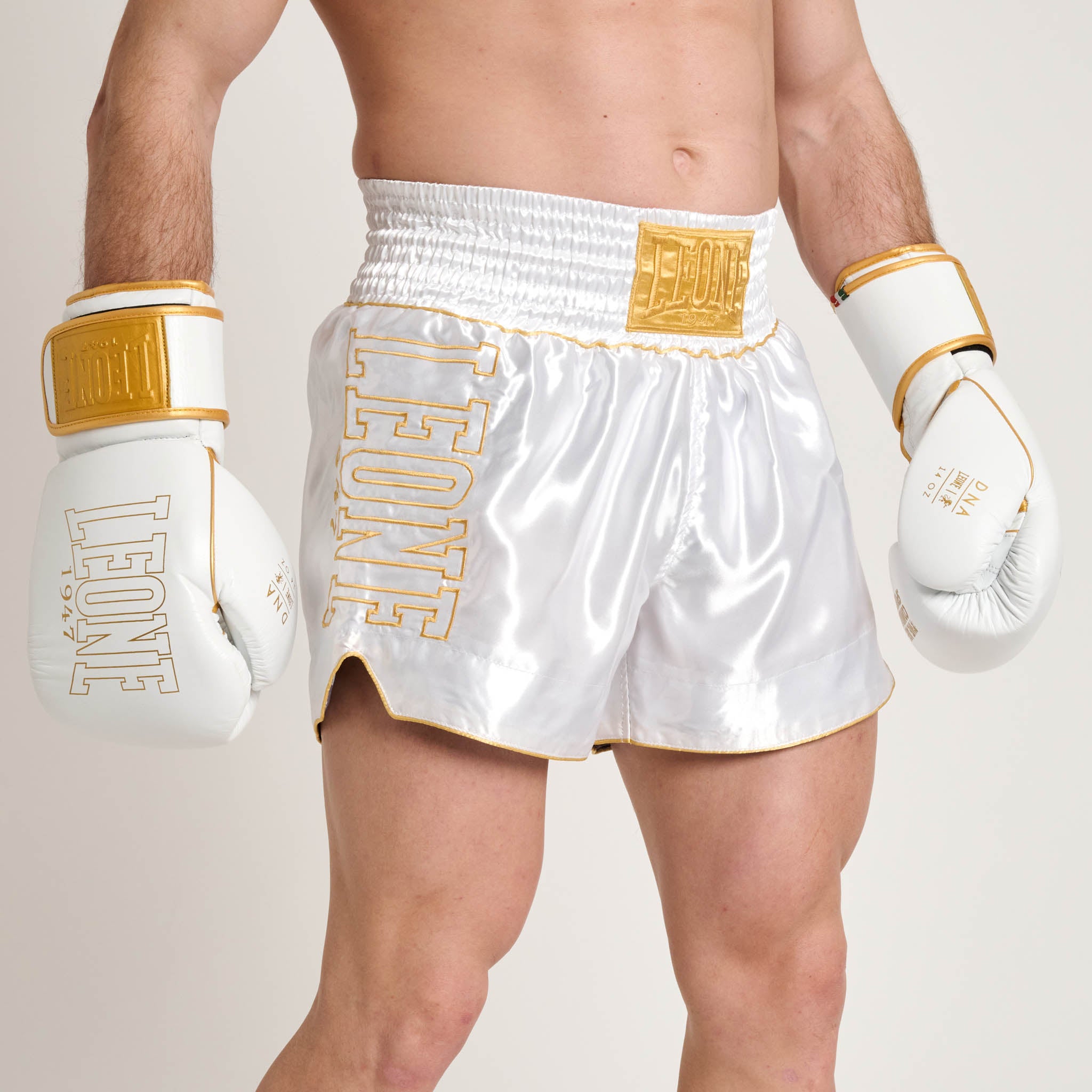 DNA PREMIUM KICK/THAI SHORTS