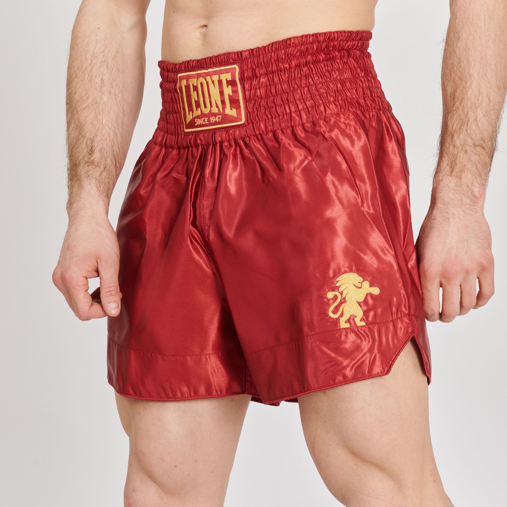 PANTA KICK BASIC 2