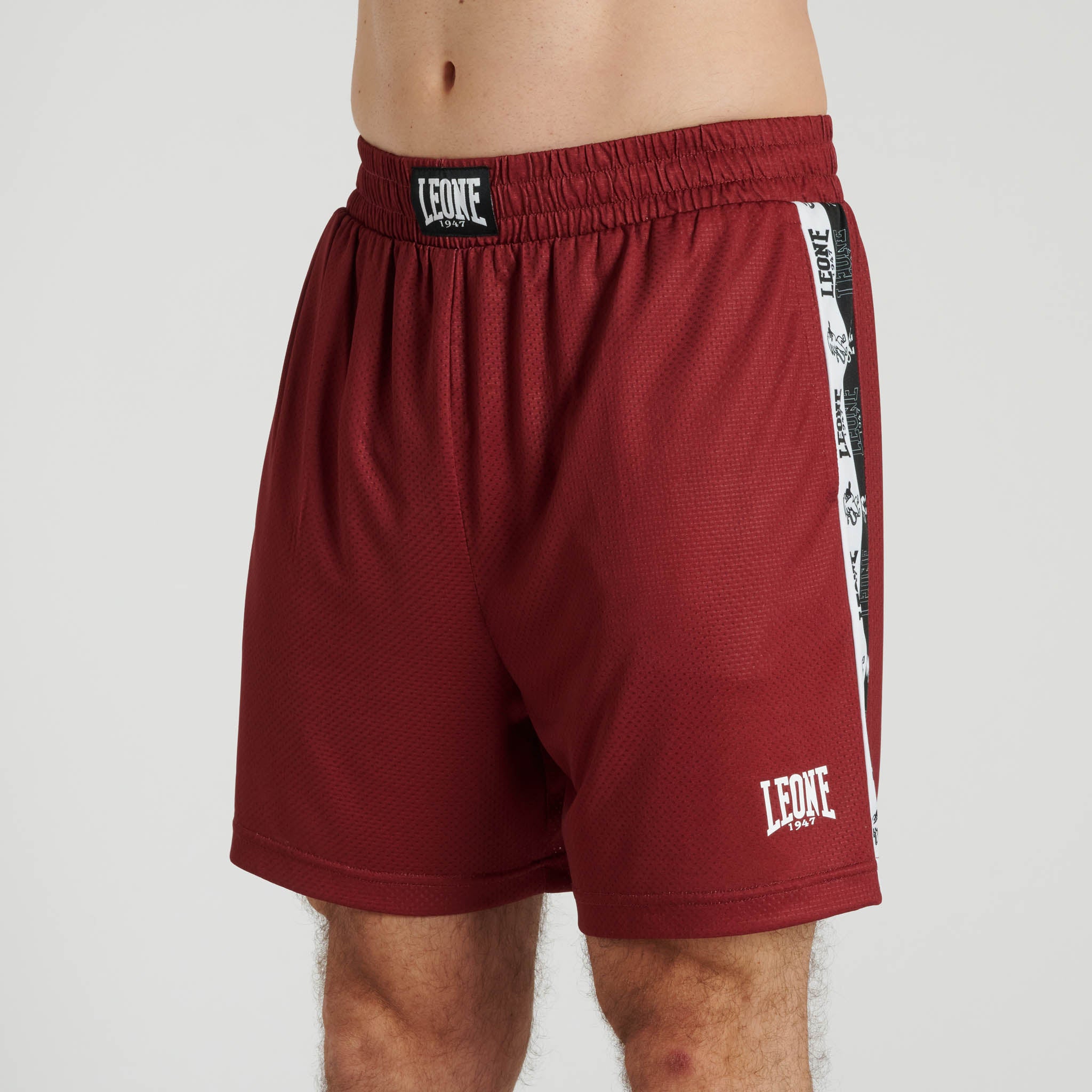 ICONIC SHORTS