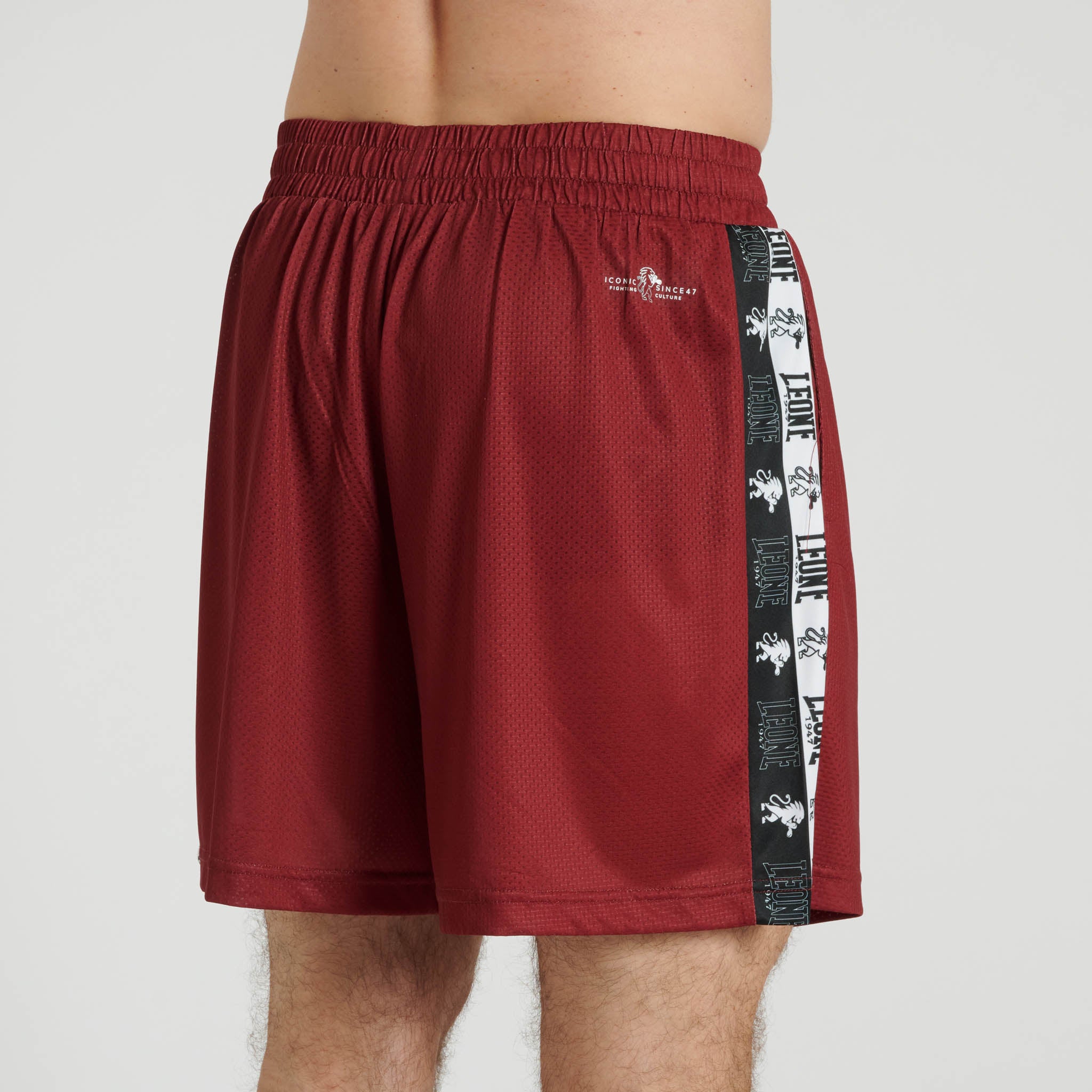 ICONIC SHORTS