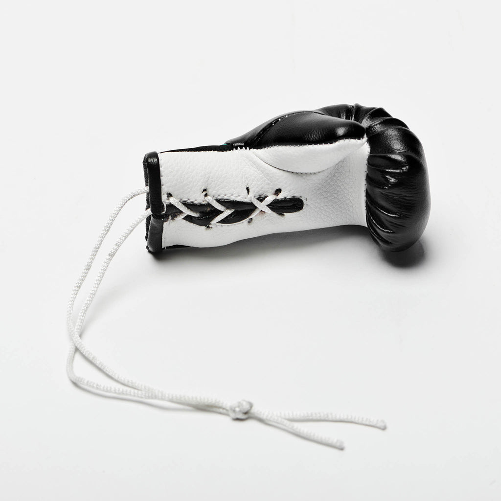 Mini Gloves for car