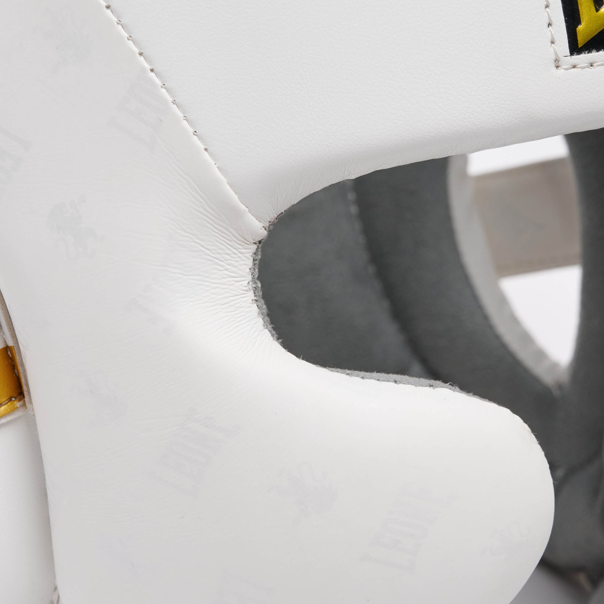 CASCO DNA
